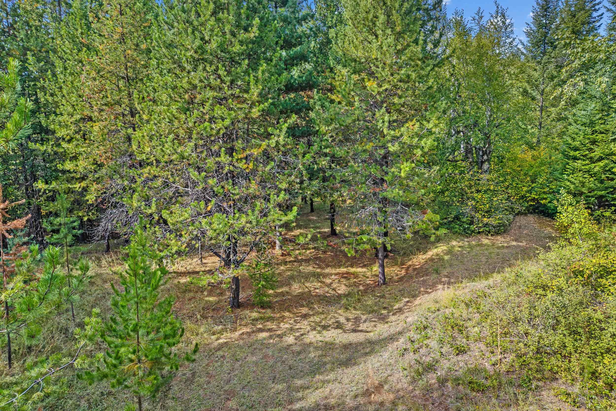220 Catamount Ridge Ln - Photo 39
