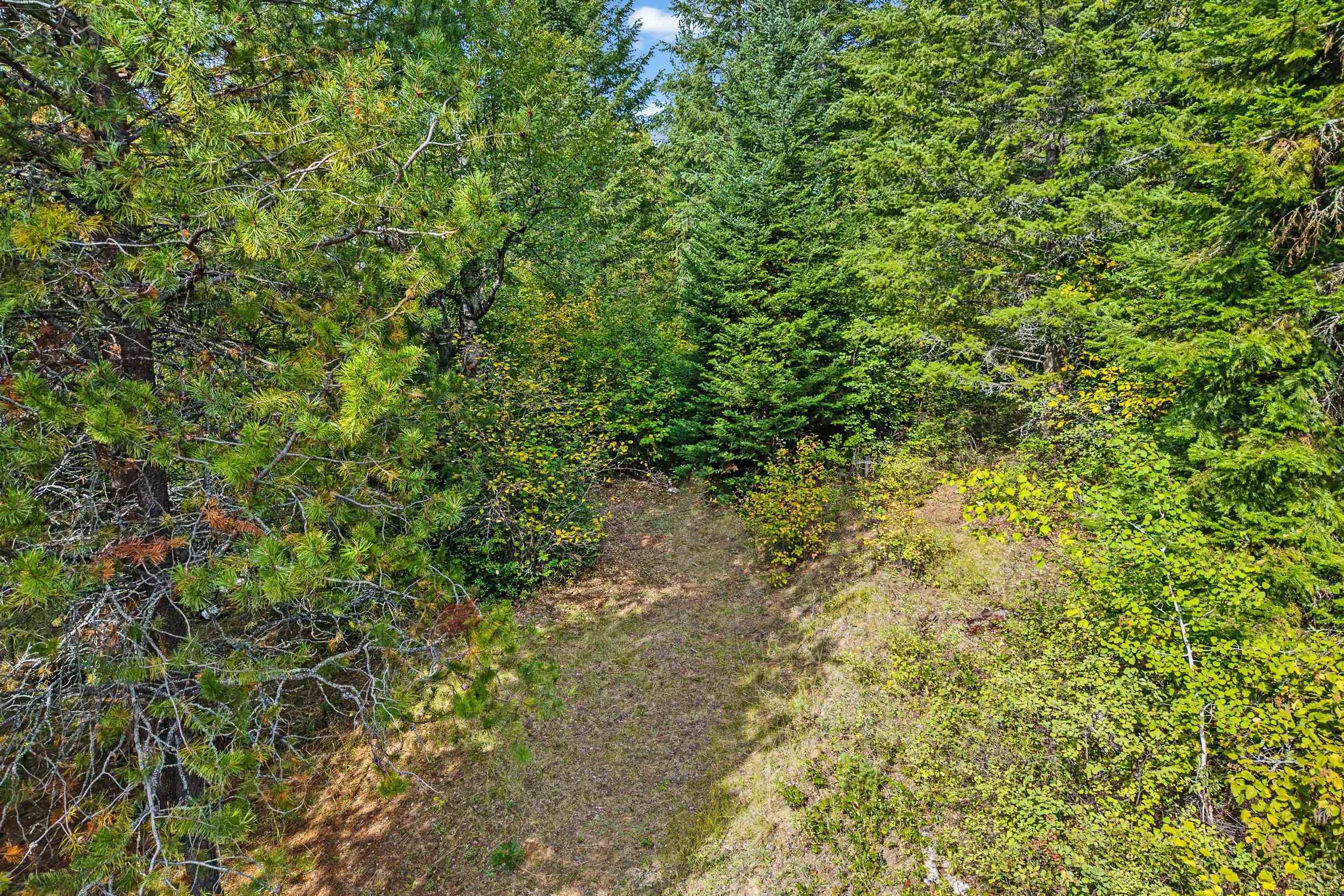 220 Catamount Ridge Ln - Photo 40