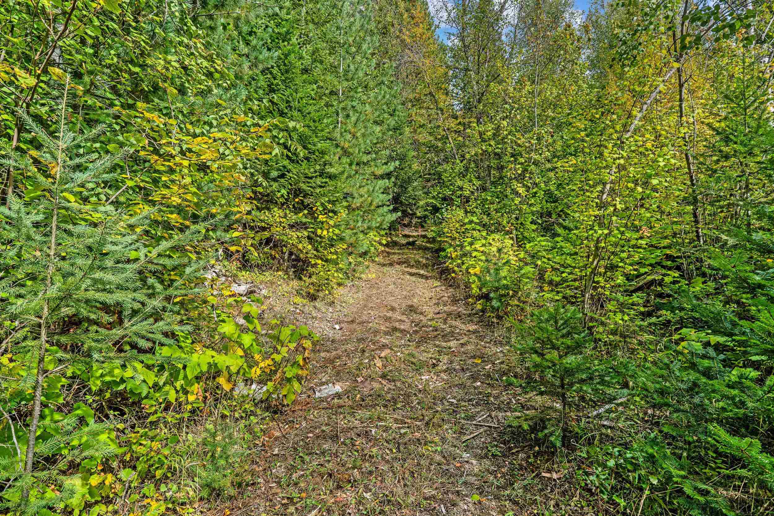 220 Catamount Ridge Ln - Photo 43
