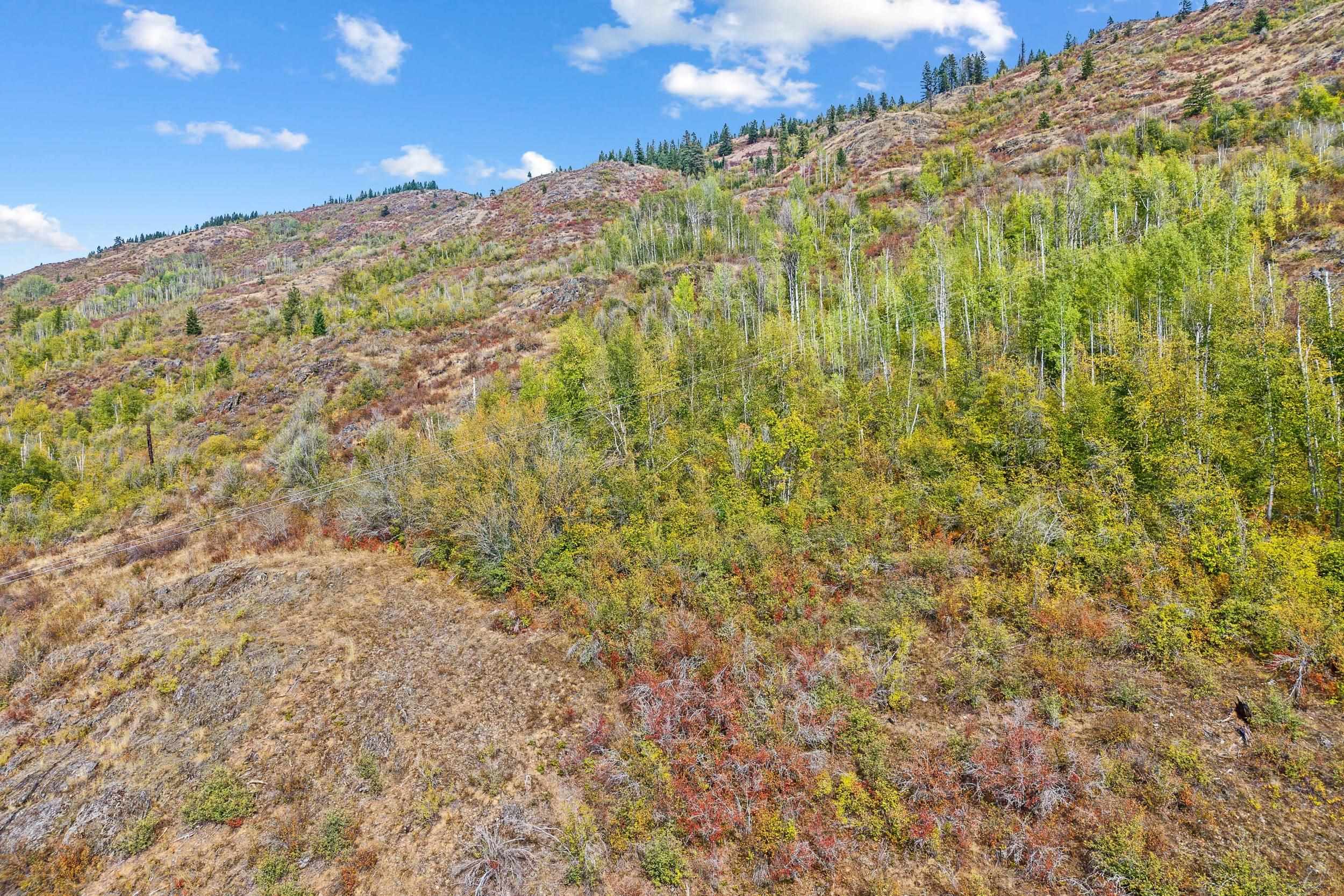 220 Catamount Ridge Ln - Photo 46