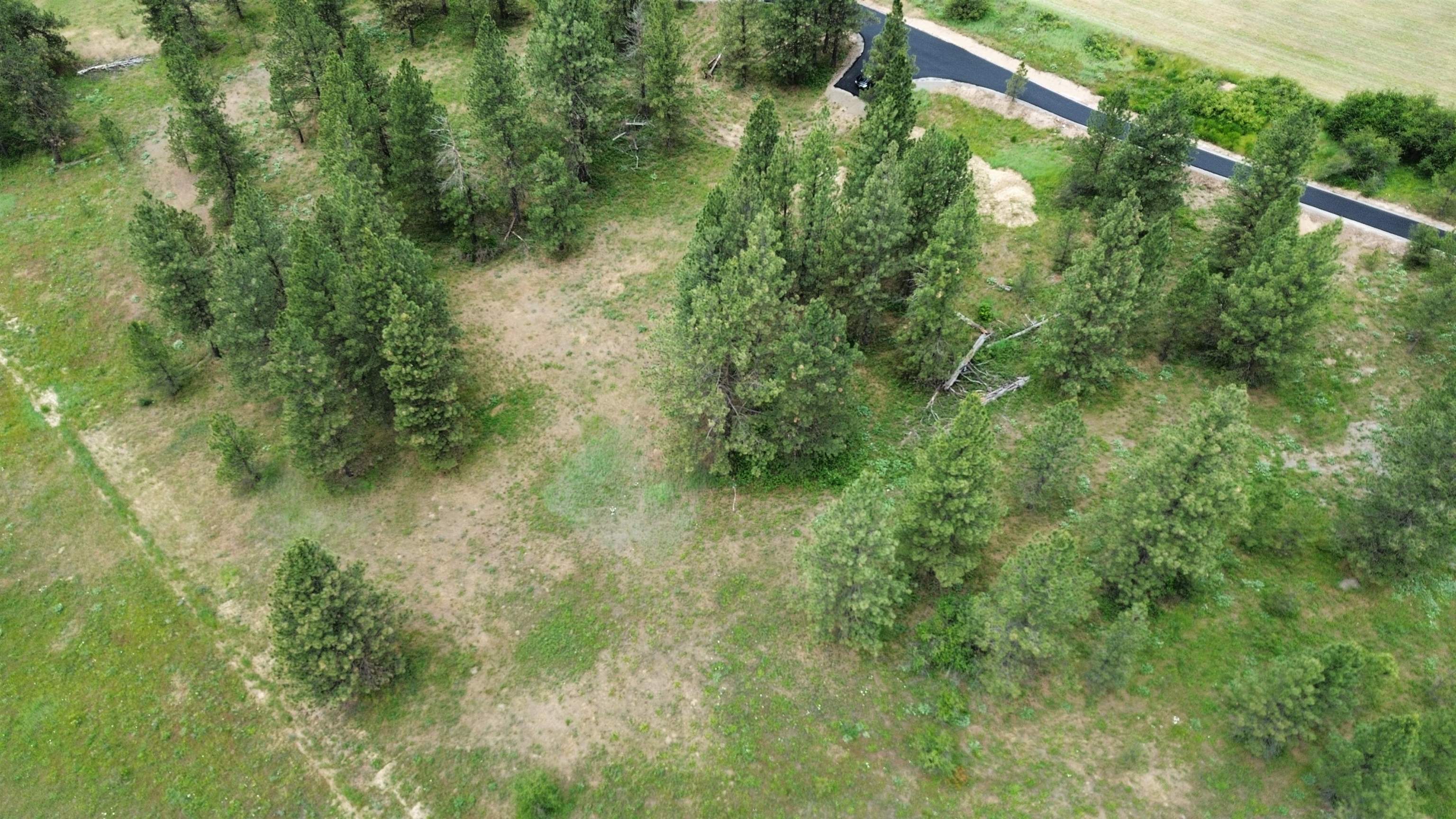 3086 E Balsam Hill Ln - Photo 9