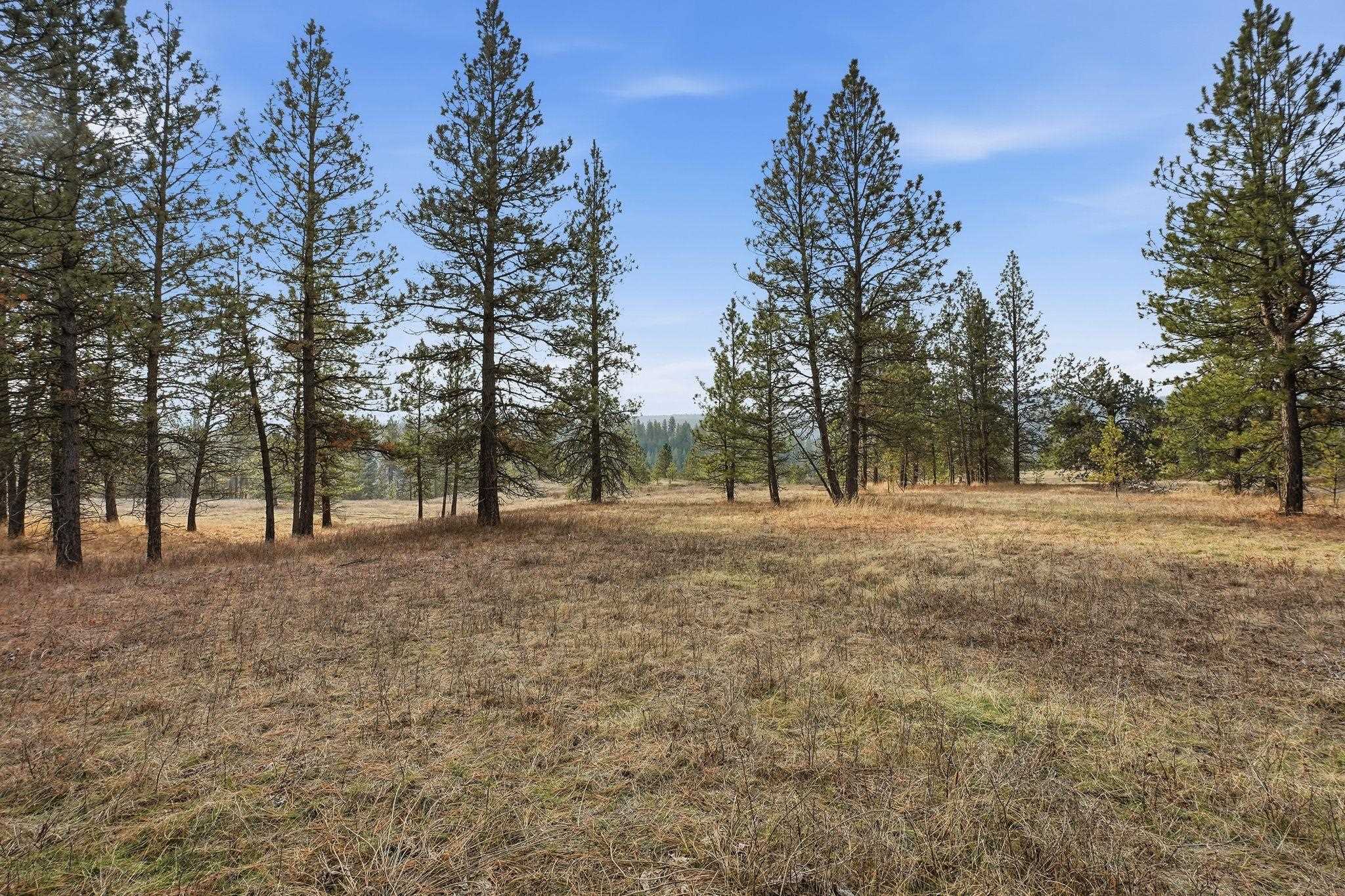 3086 E Balsam Hill Ln - Photo 10
