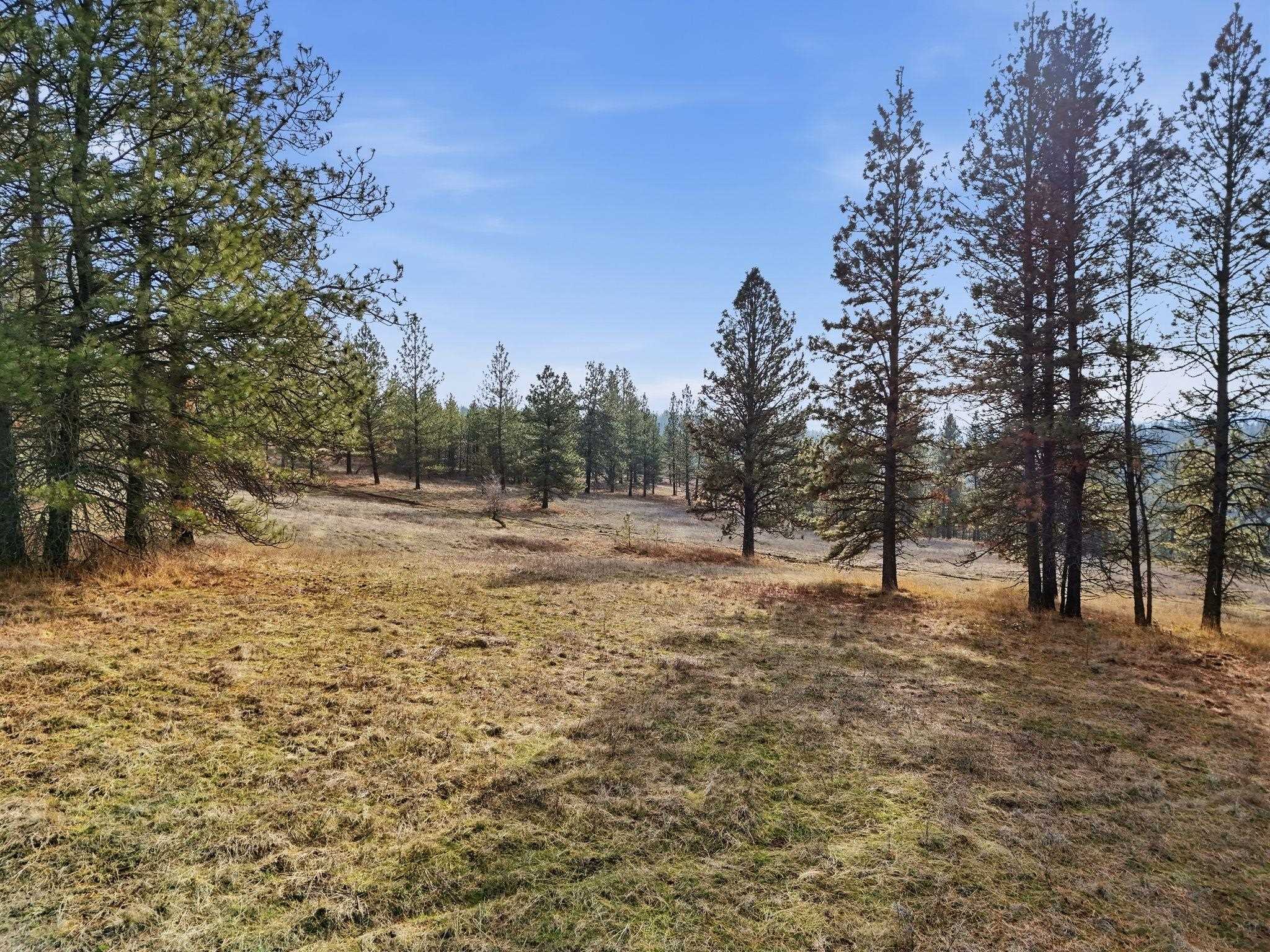 3086 E Balsam Hill Ln - Photo 12
