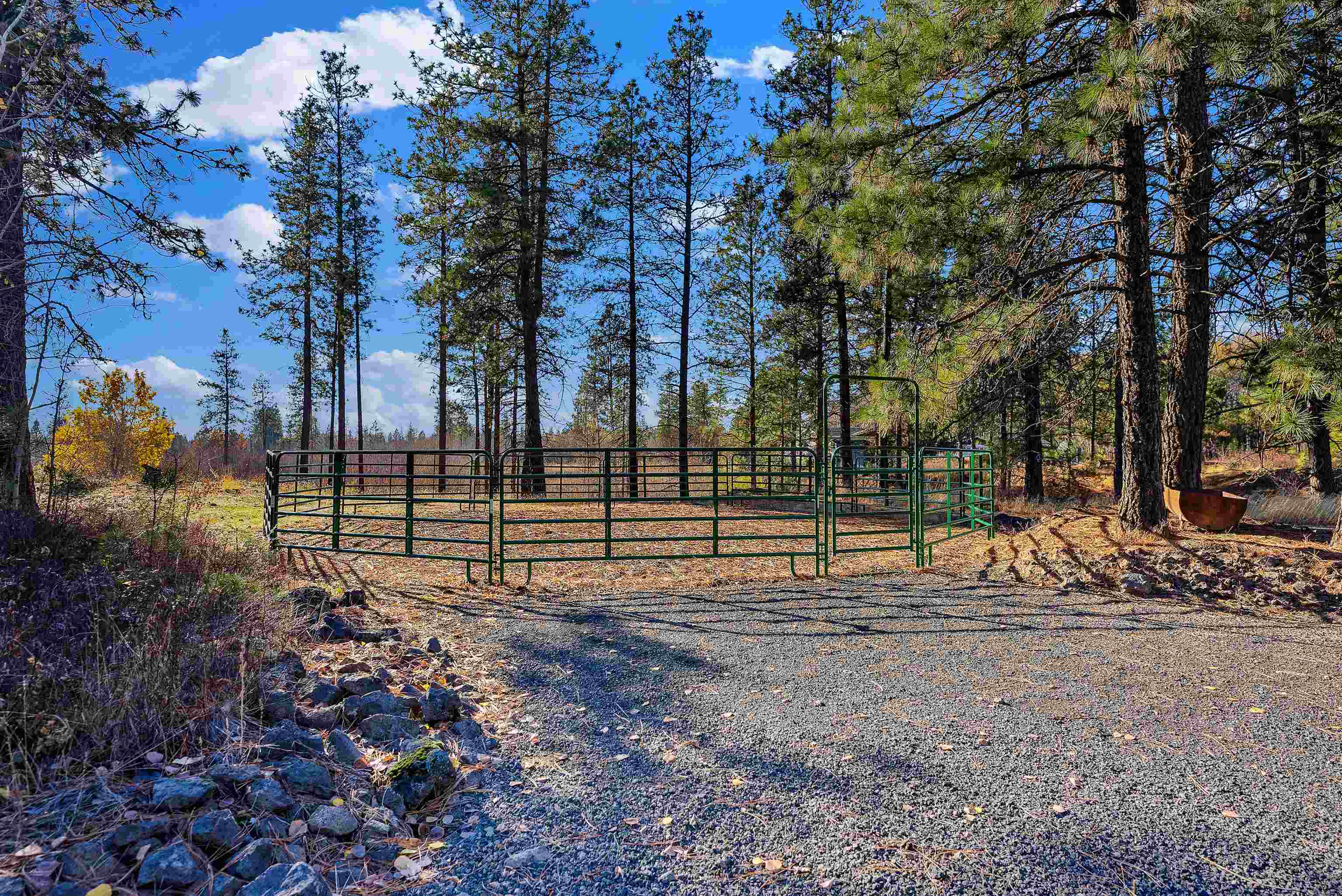 16309 S Cheney Spokane Rd - Photo 44