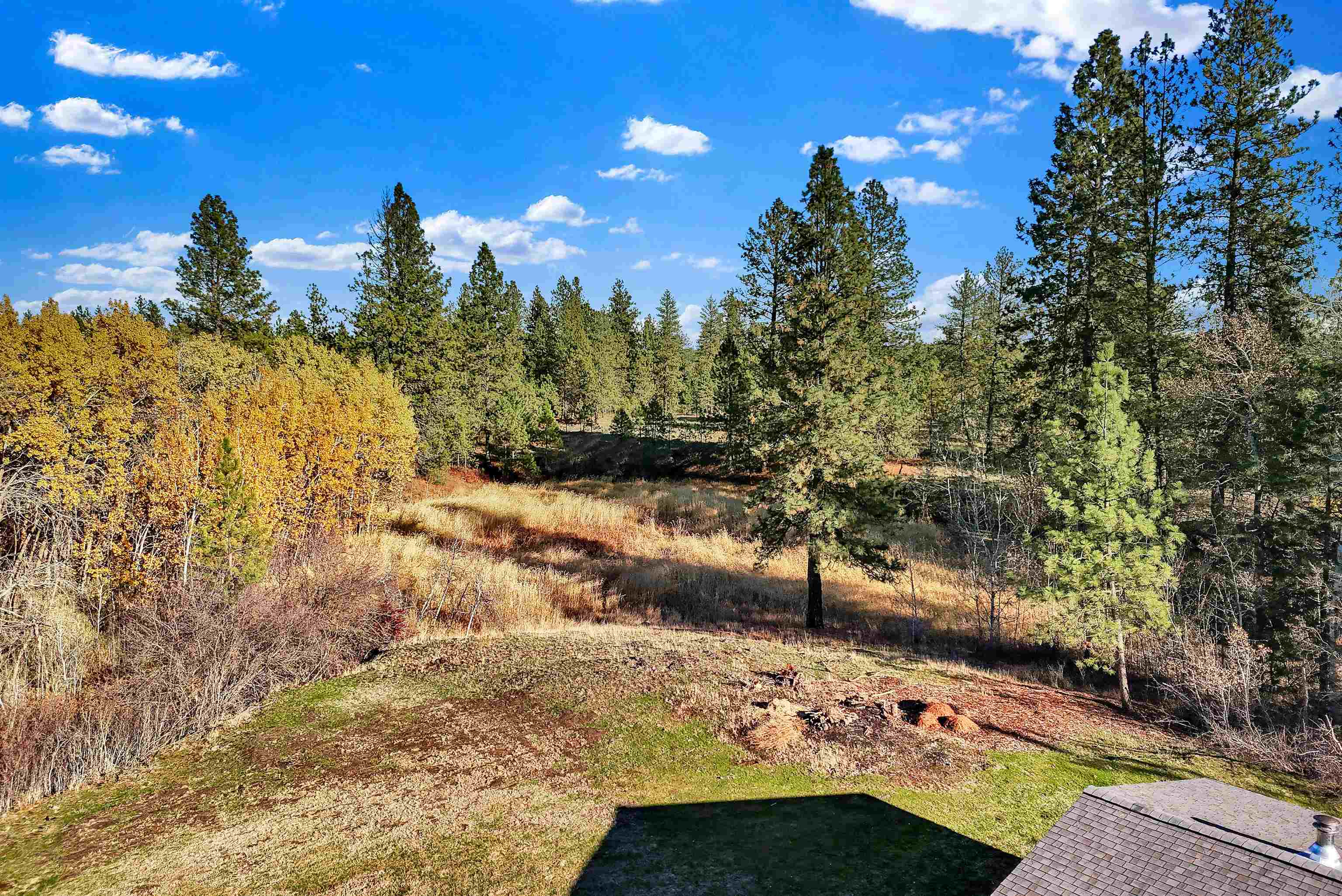16309 S Cheney Spokane Rd - Photo 47