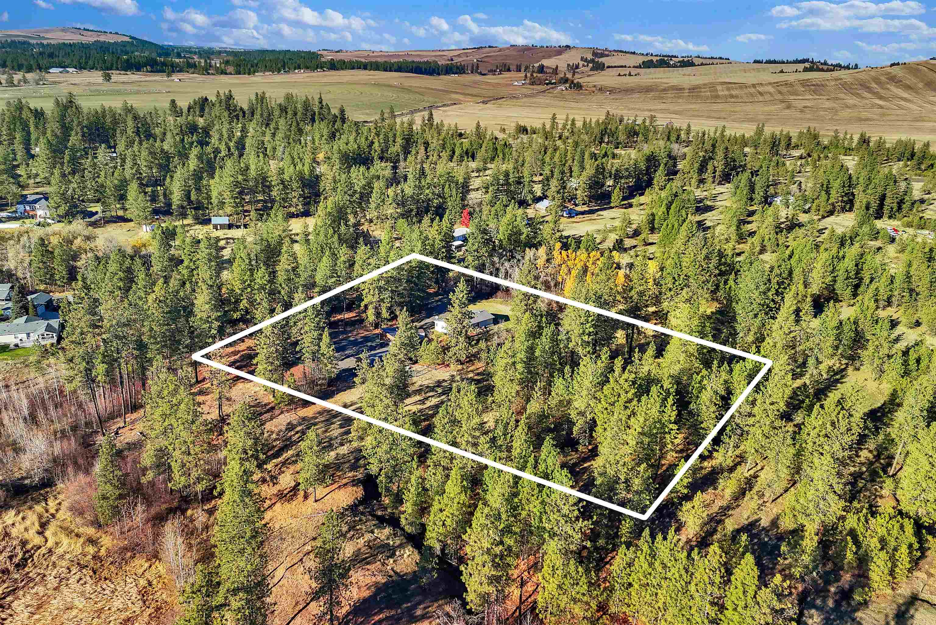 16309 S Cheney Spokane Rd - Photo 50