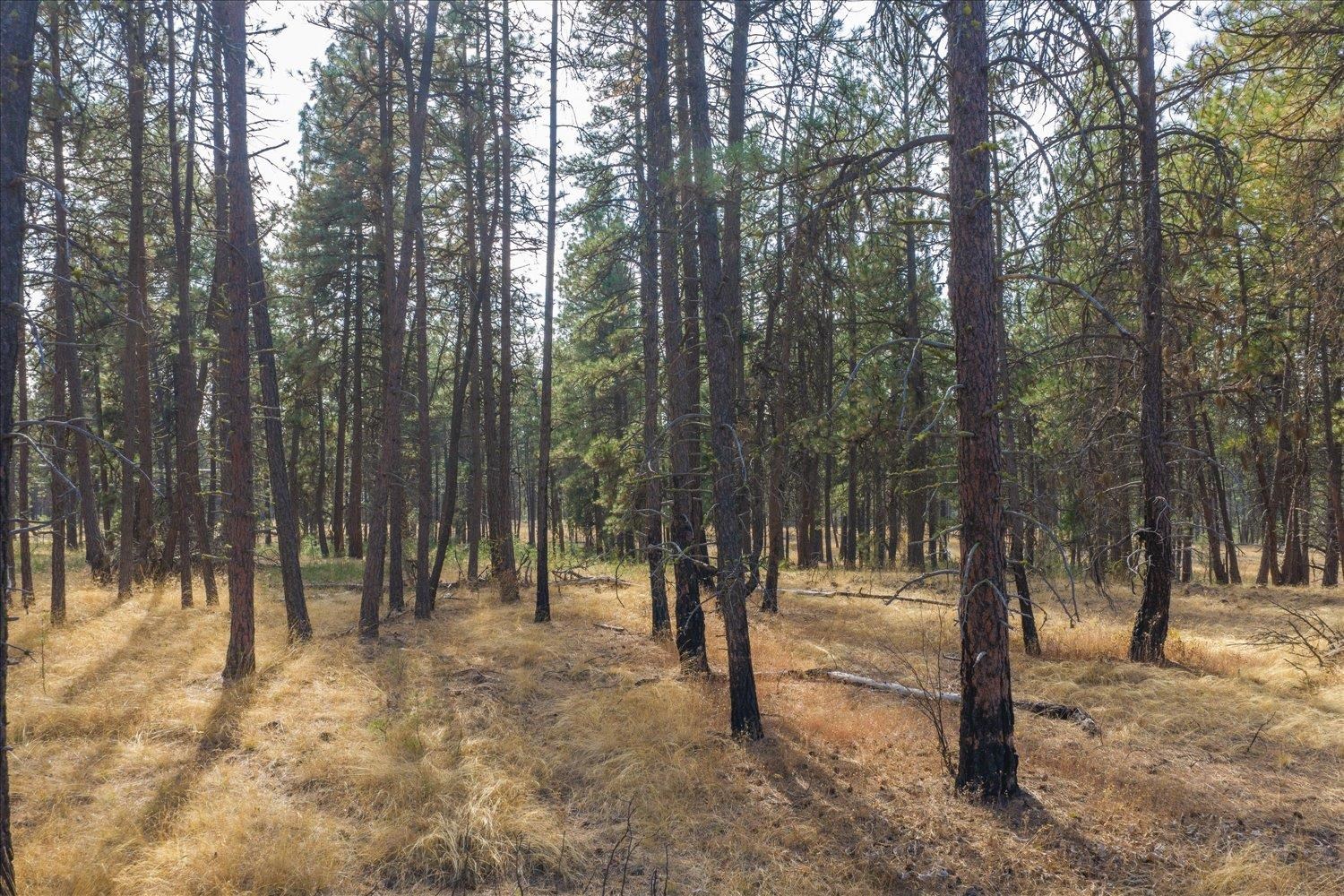 4402 W Jensen Rd - Photo 33