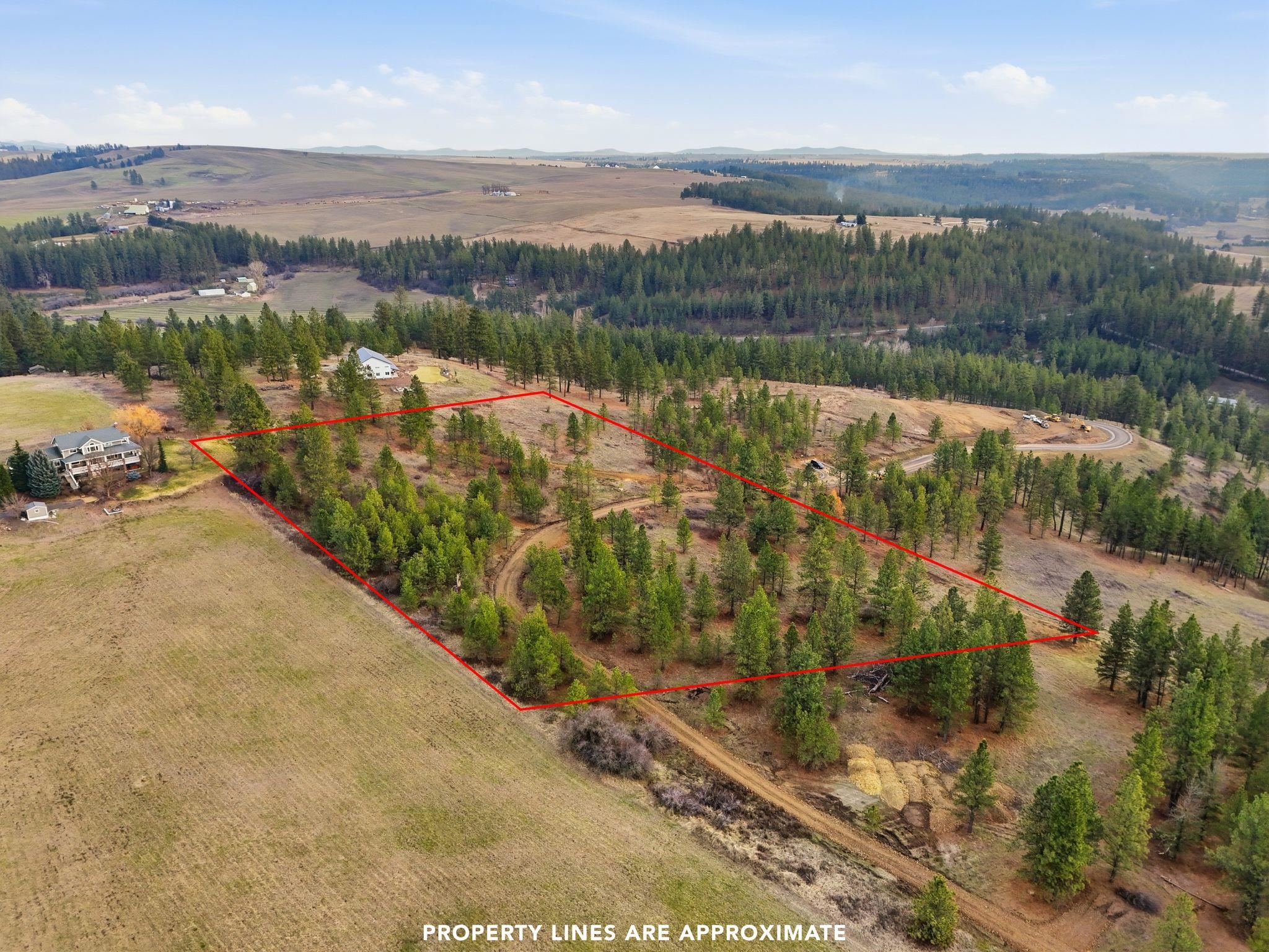 3344 Balsam Hill Ln - Photo 3