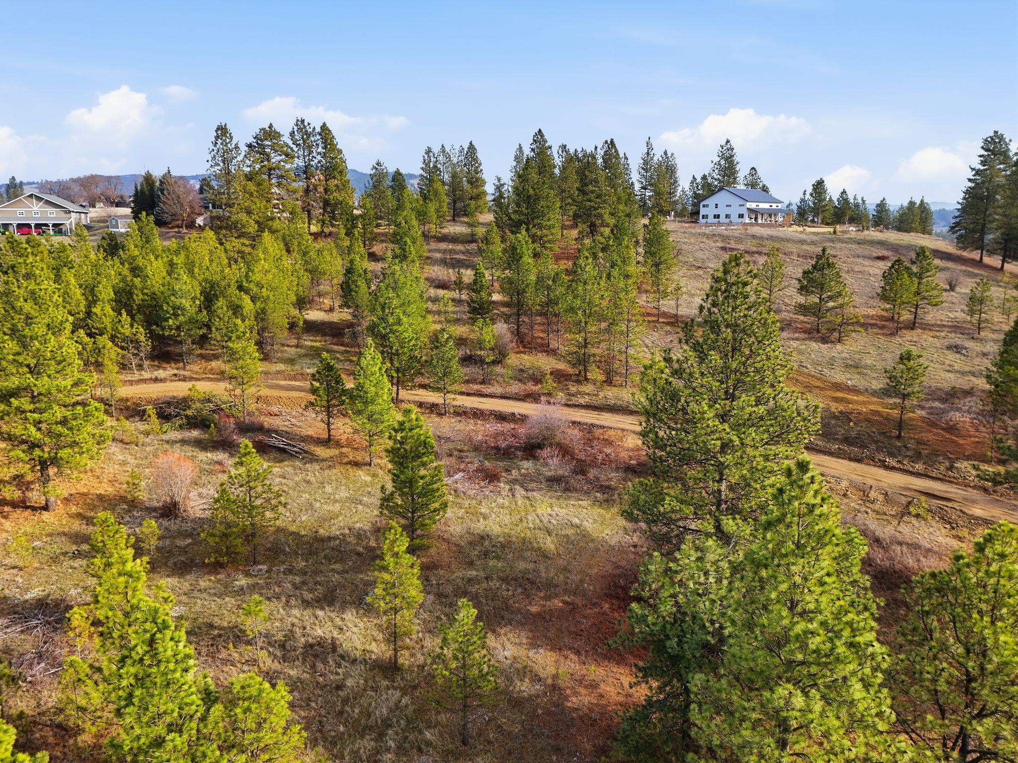 3344 Balsam Hill Ln - Photo 9