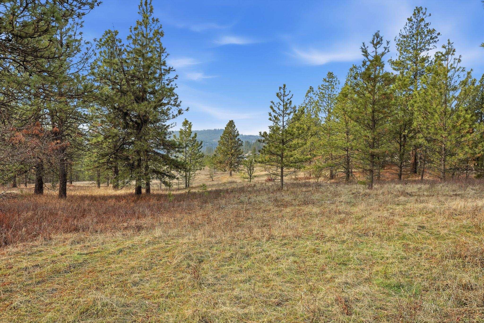 3344 Balsam Hill Ln - Photo 12