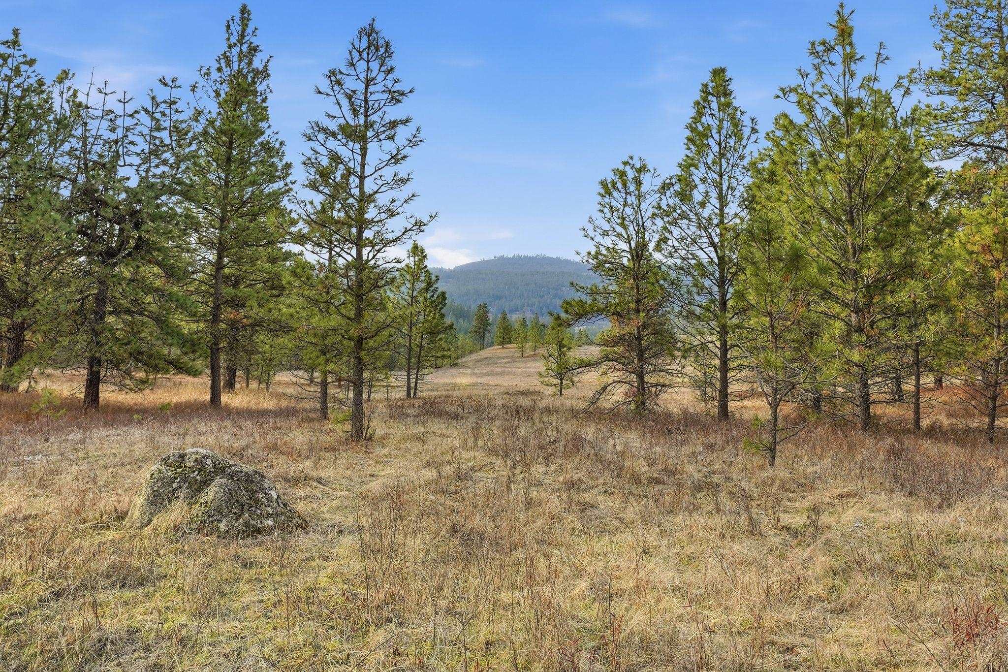 3344 Balsam Hill Ln - Photo 14