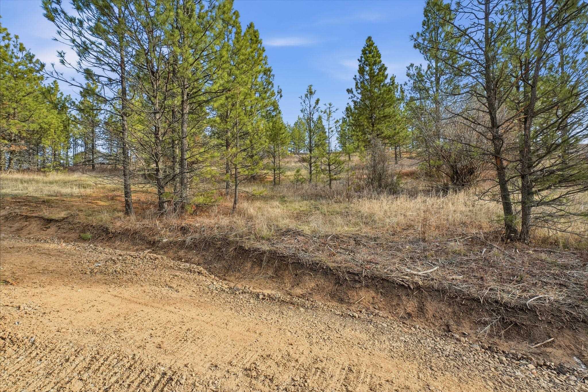 3344 Balsam Hill Ln - Photo 16