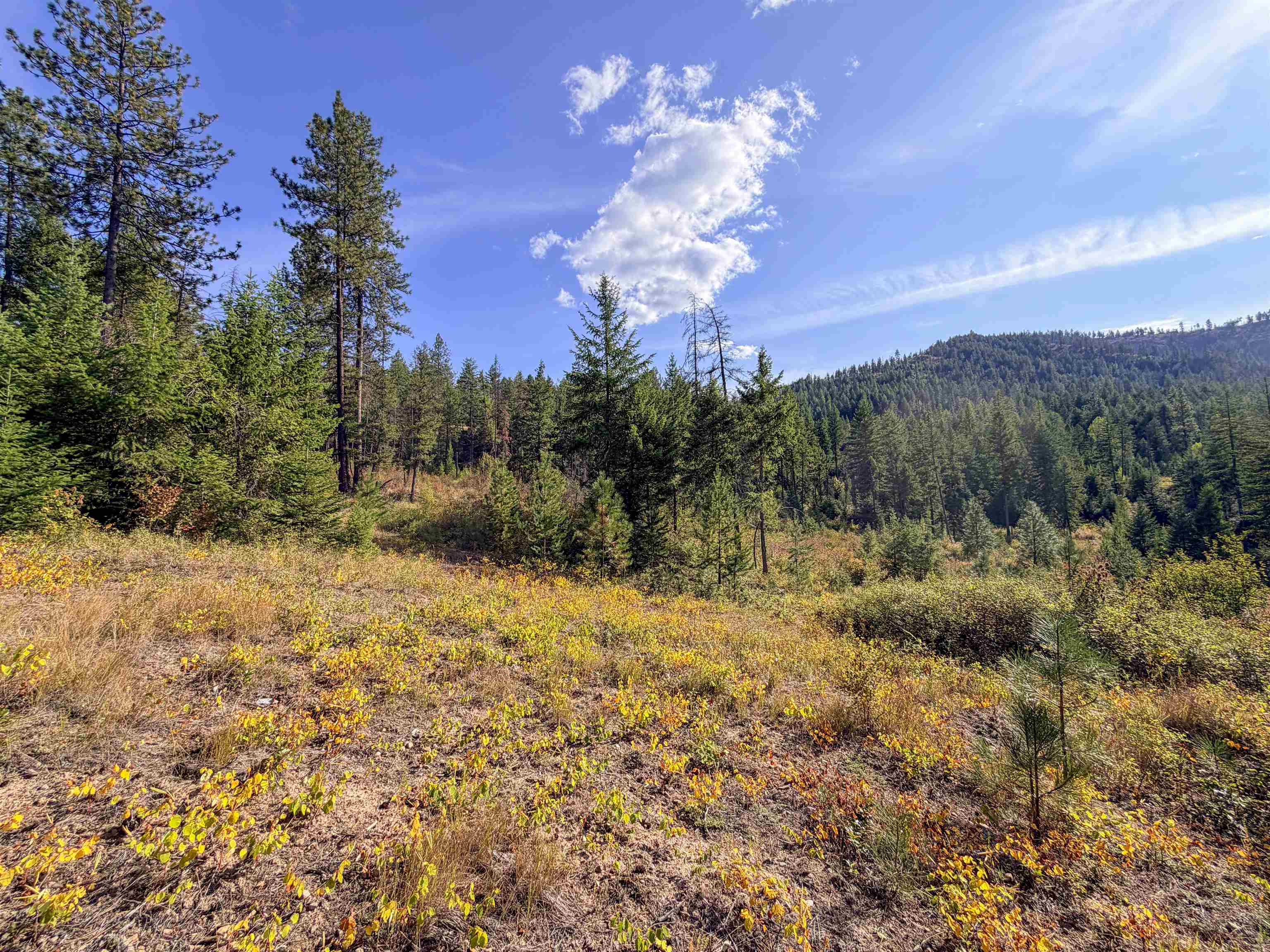 2231 Blue Creek Locke Rd - Photo 43