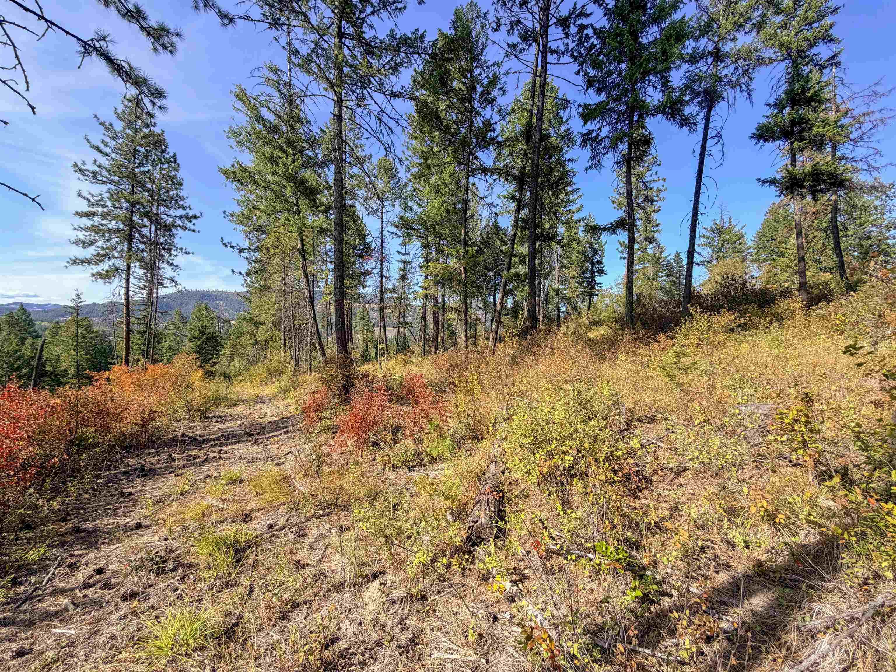 2231 Blue Creek Locke Rd - Photo 42