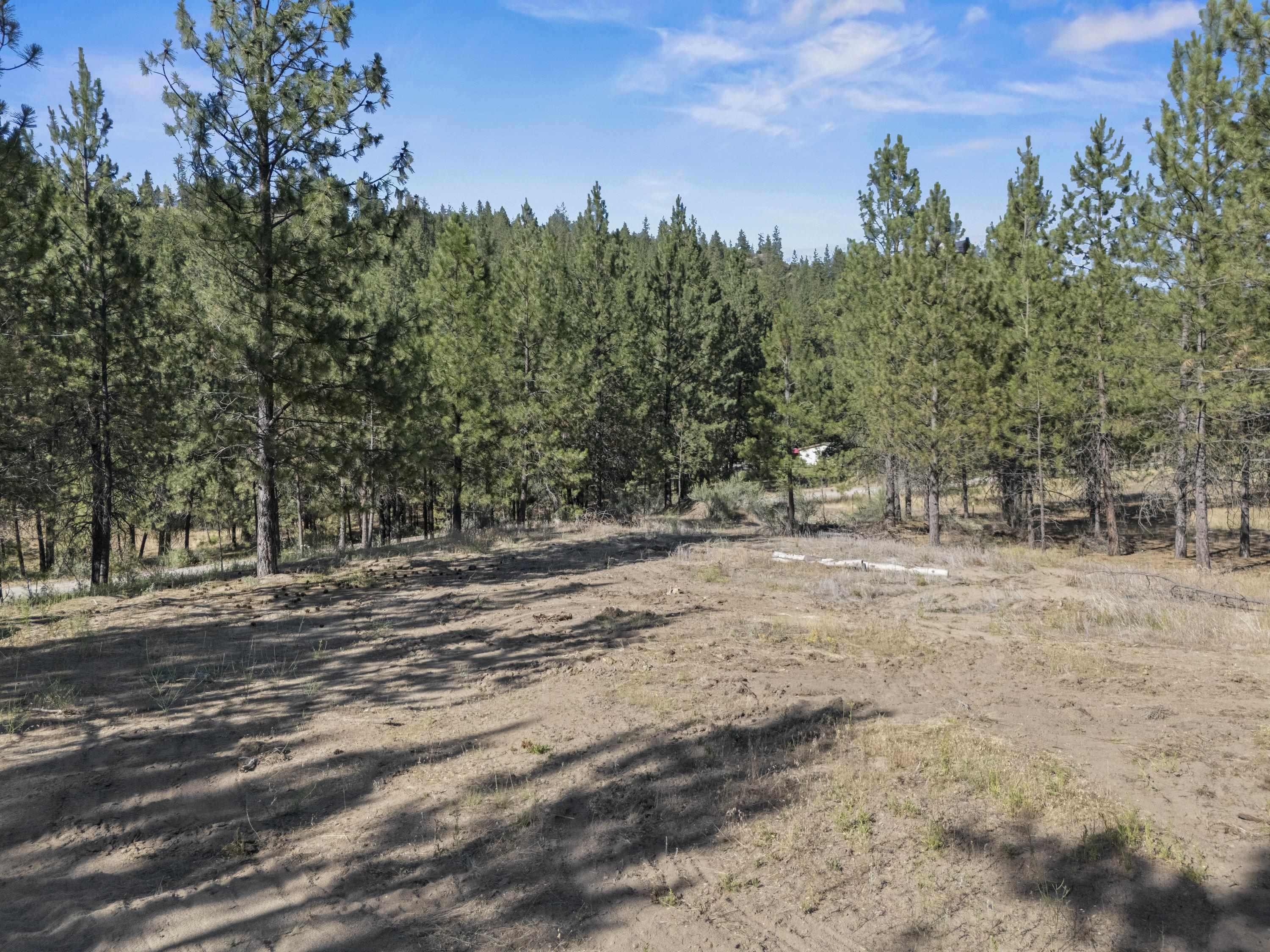 6298 D HWY 291 Hwy - Photo 15