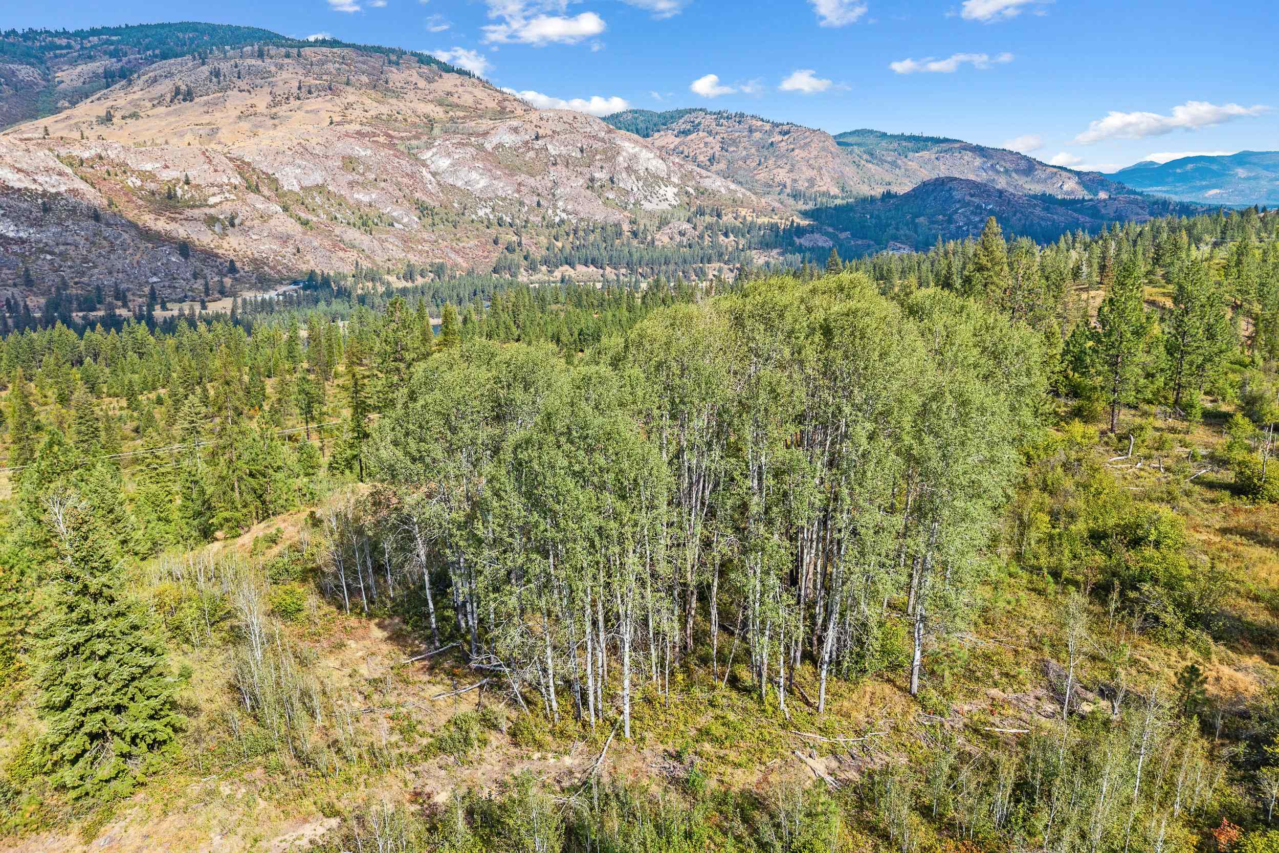 TBD Hwy 25 N - Photo 8
