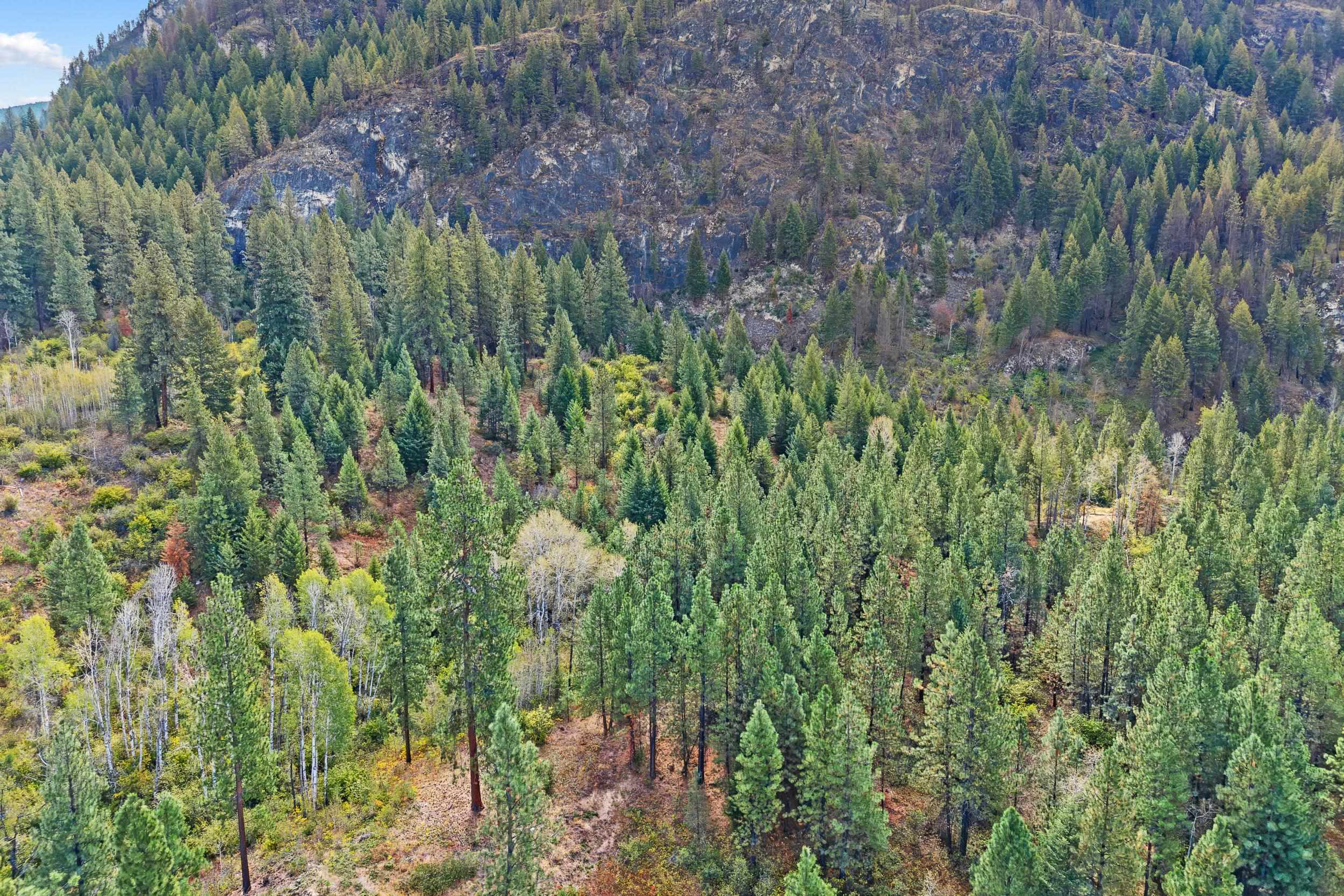 TBD Hwy 25 N - Photo 13