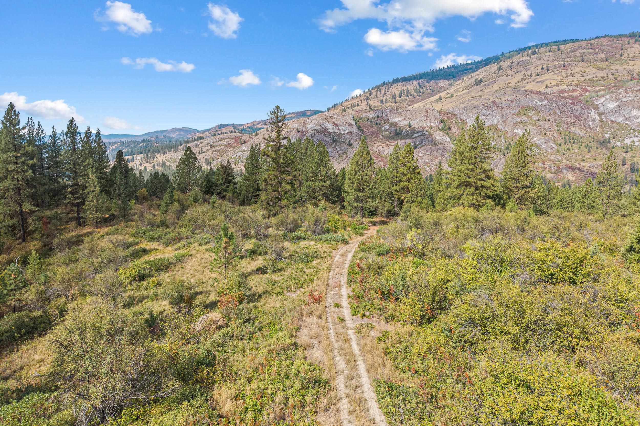 TBD Hwy 25 N - Photo 19