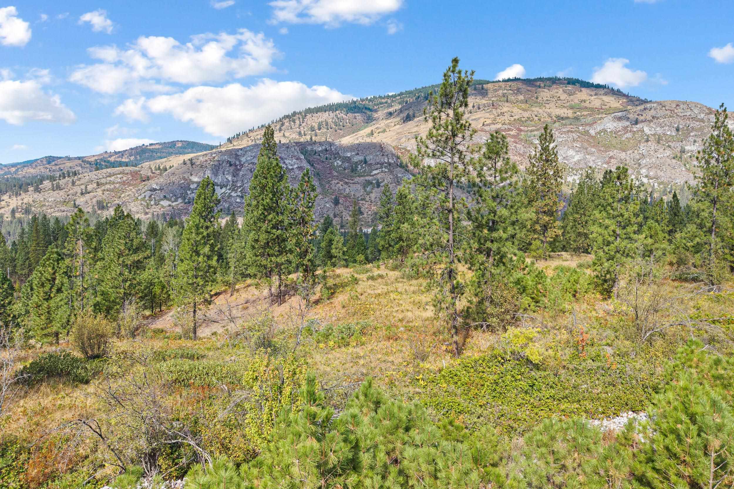 TBD Hwy 25 N - Photo 21
