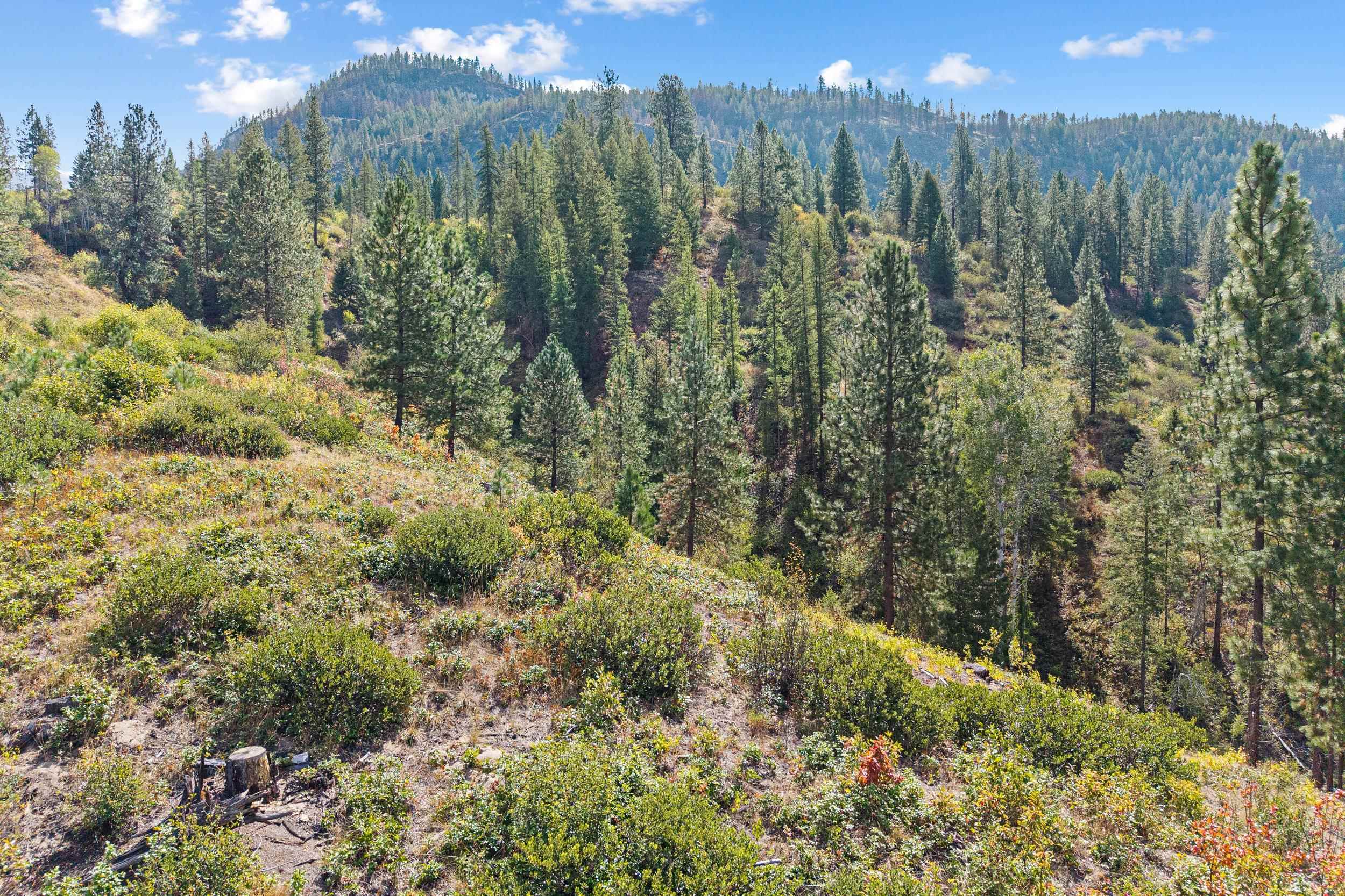 TBD Hwy 25 N - Photo 32
