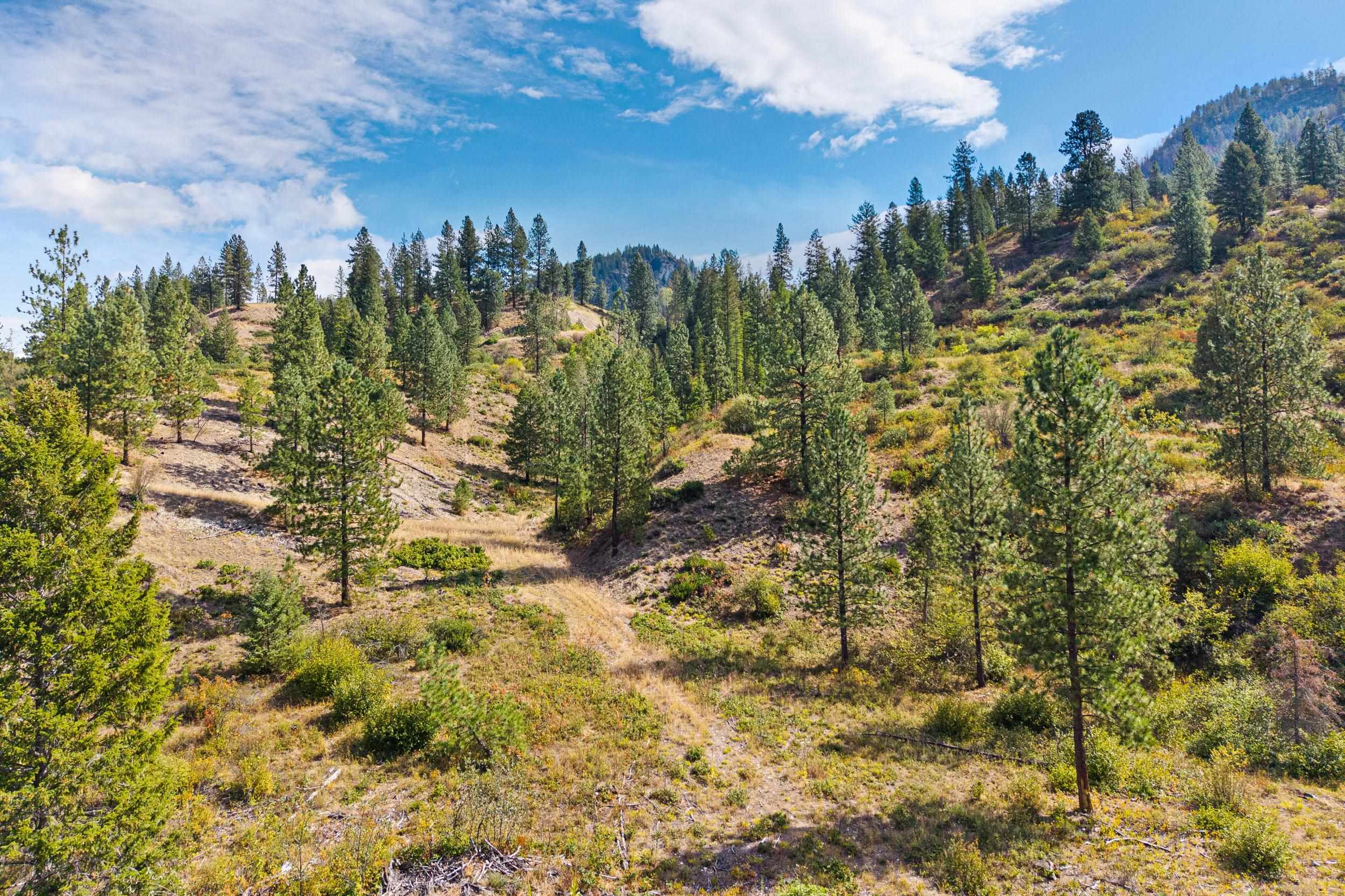 TBD Hwy 25 N - Photo 34