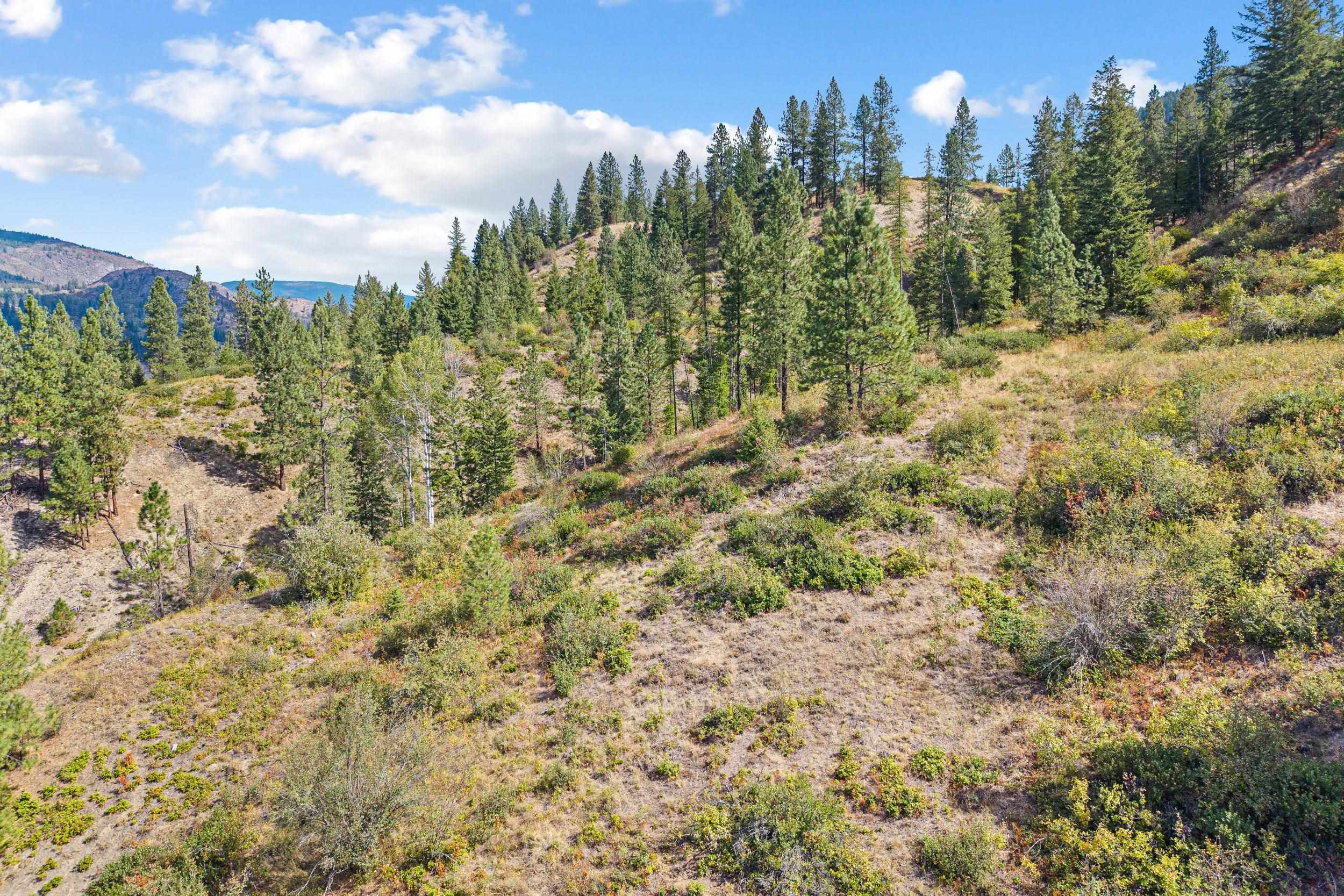 TBD Hwy 25 N - Photo 35