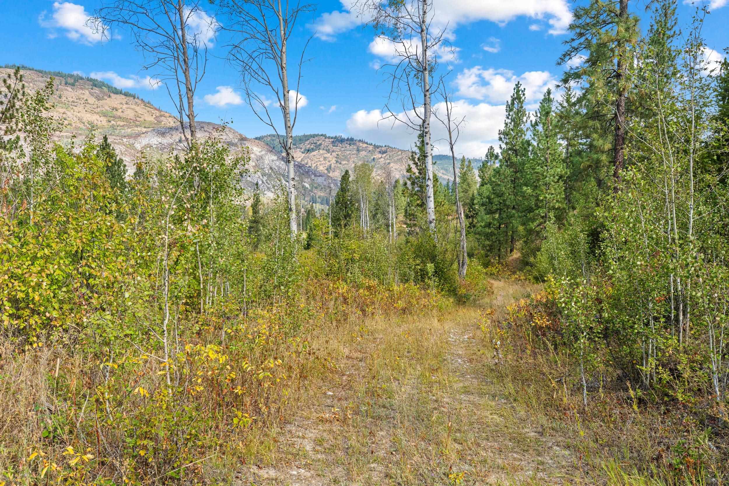 TBD Hwy 25 N - Photo 44
