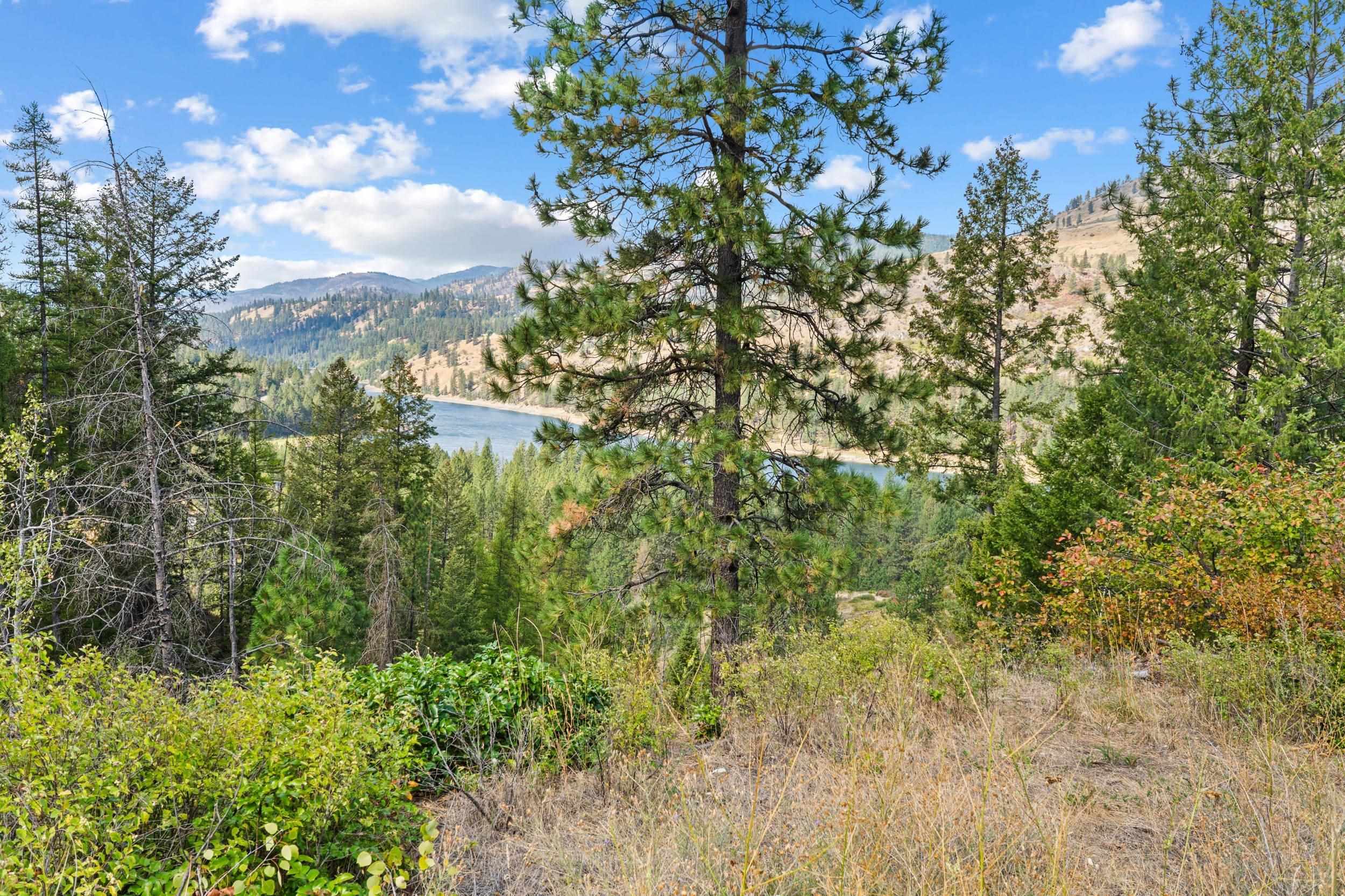 TBD Hwy 25 N - Photo 46