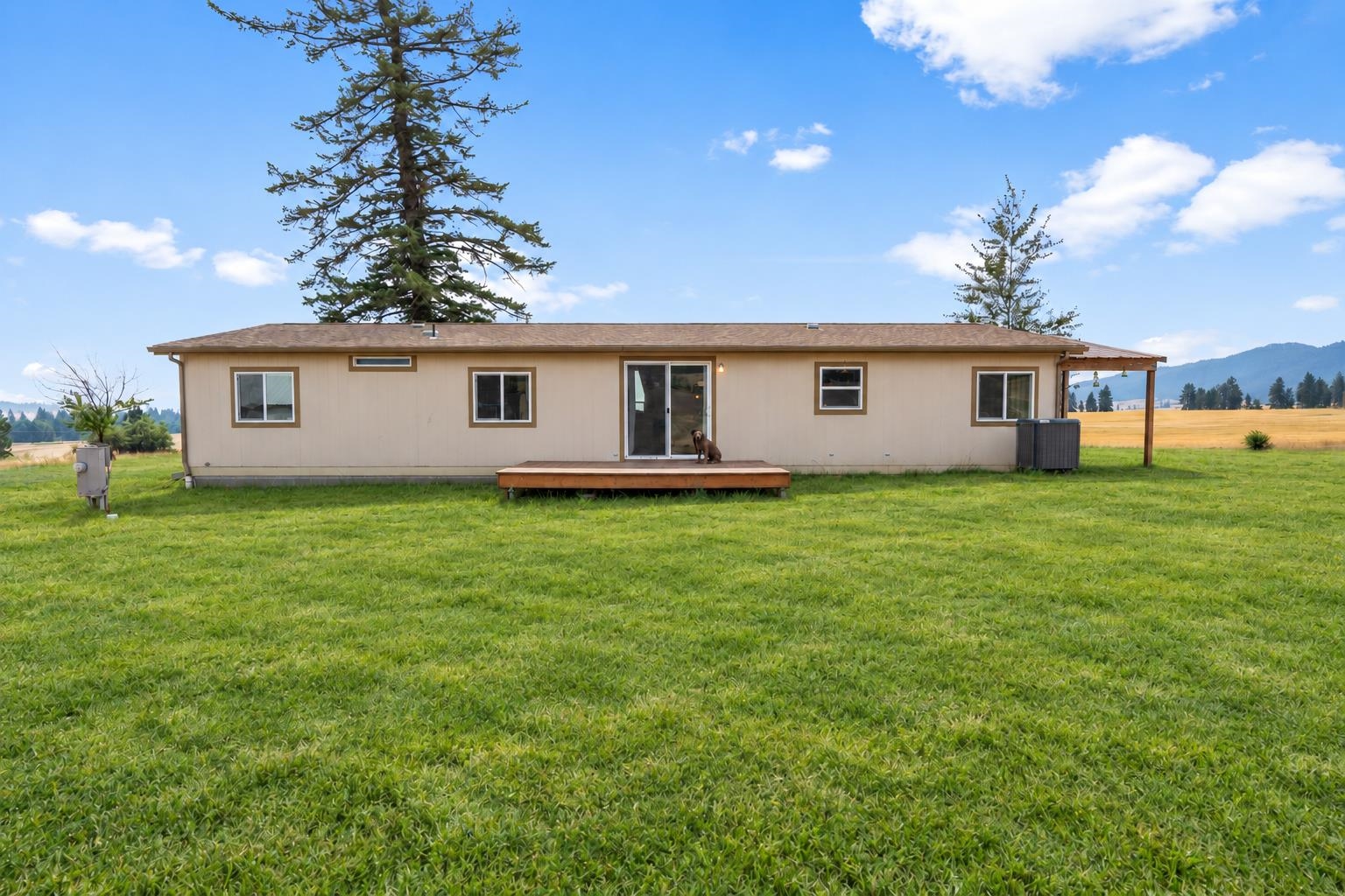38521 Idaho Rd - Photo 5