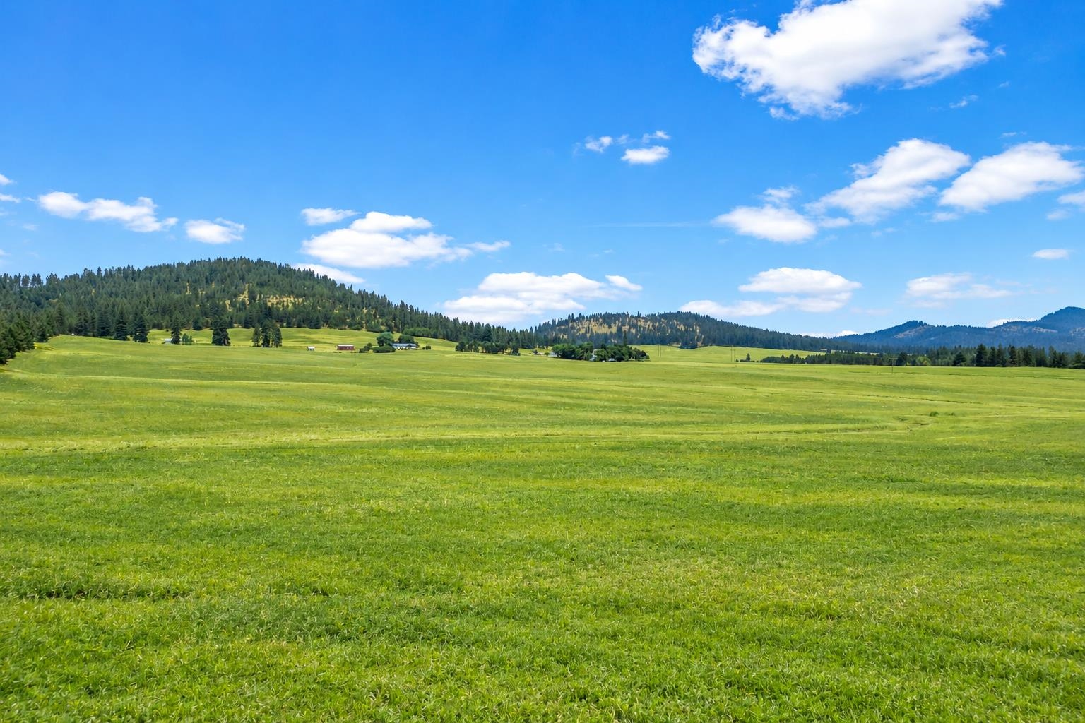 38521 Idaho Rd - Photo 7