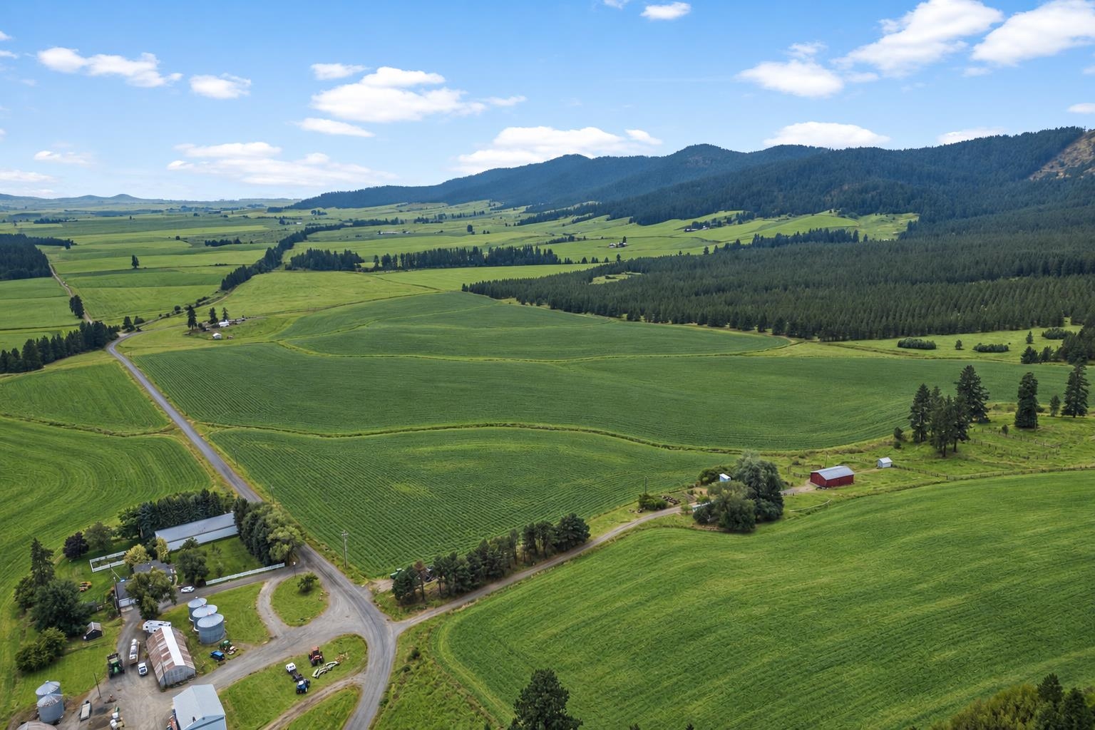 38521 Idaho Rd - Photo 9