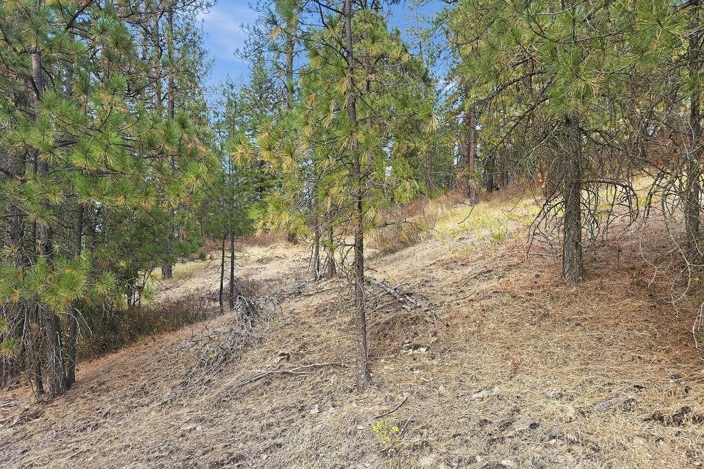 NKA Timberlane Cir - Photo 10