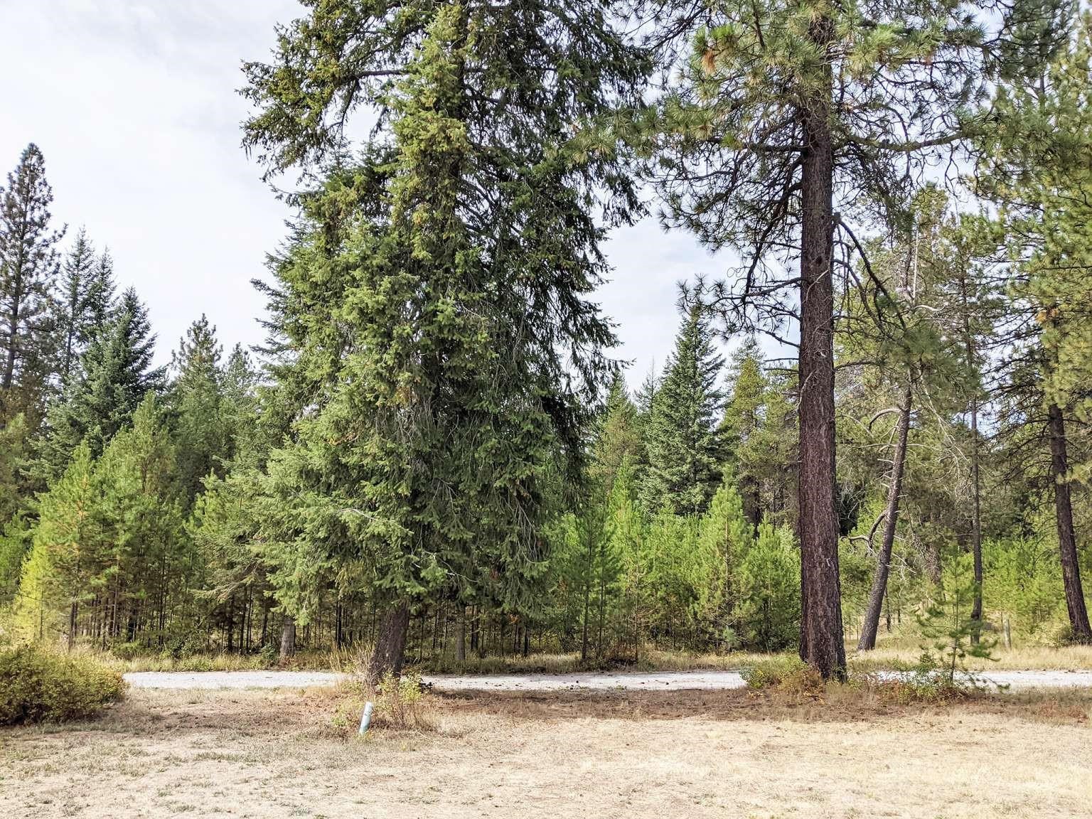 202 Rumsey Dr - Photo 47