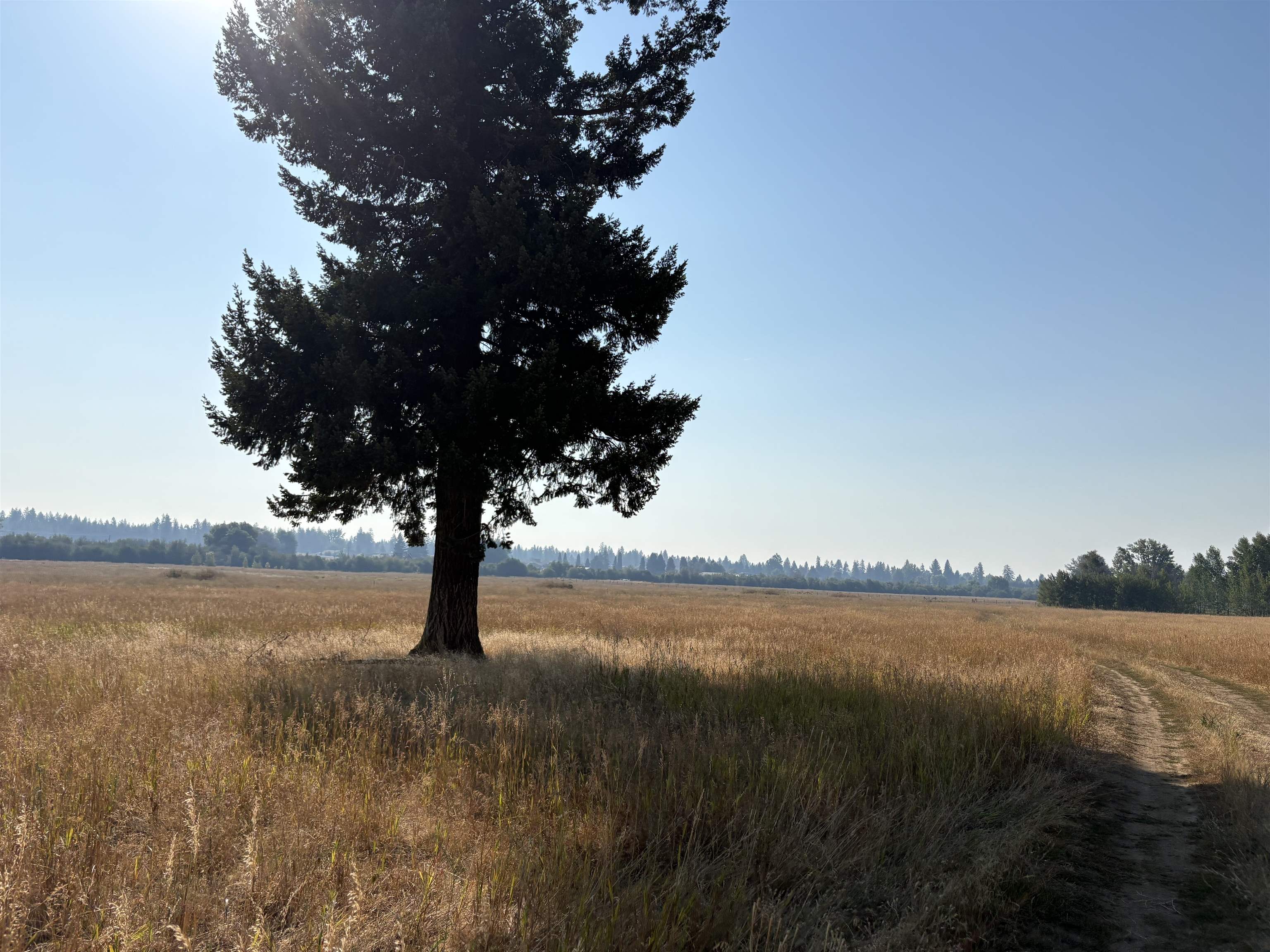 4851 W Enoch Rd - Photo 9
