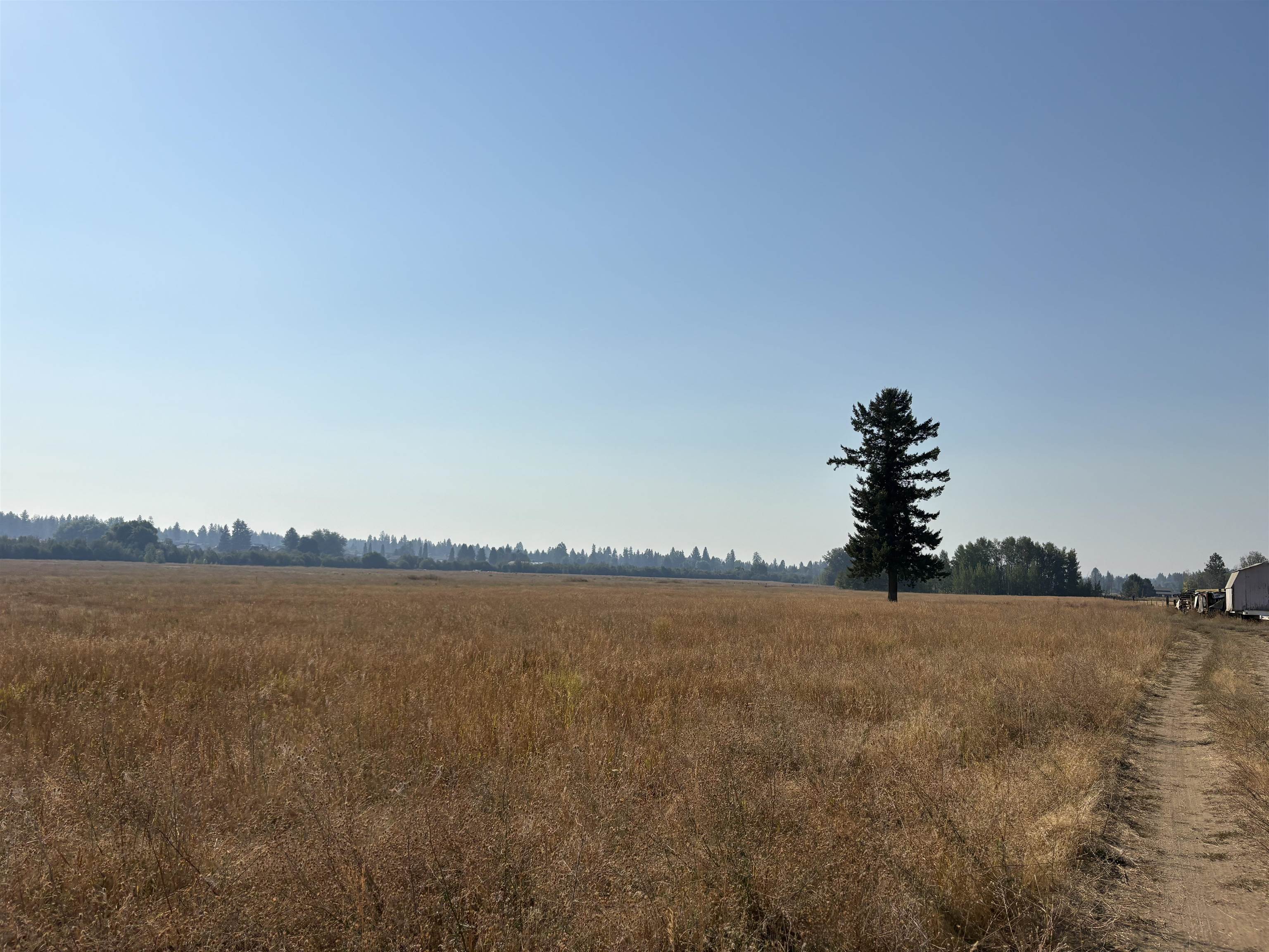 4851 W Enoch Rd - Photo 10