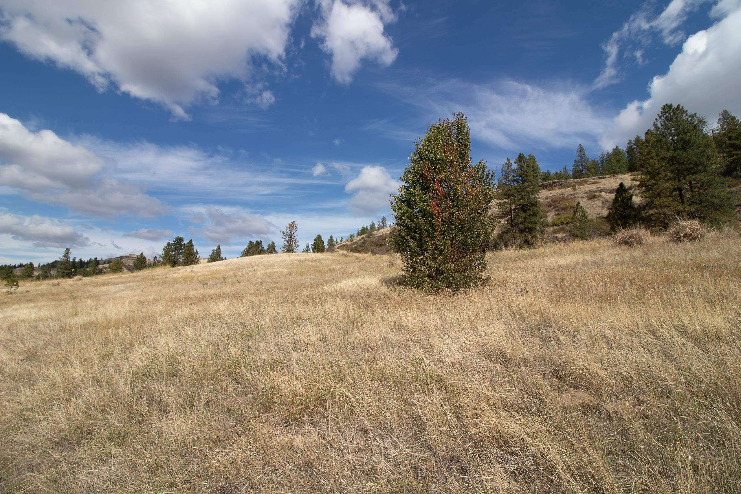 34126 N Hawk Creek Rd - Photo 36