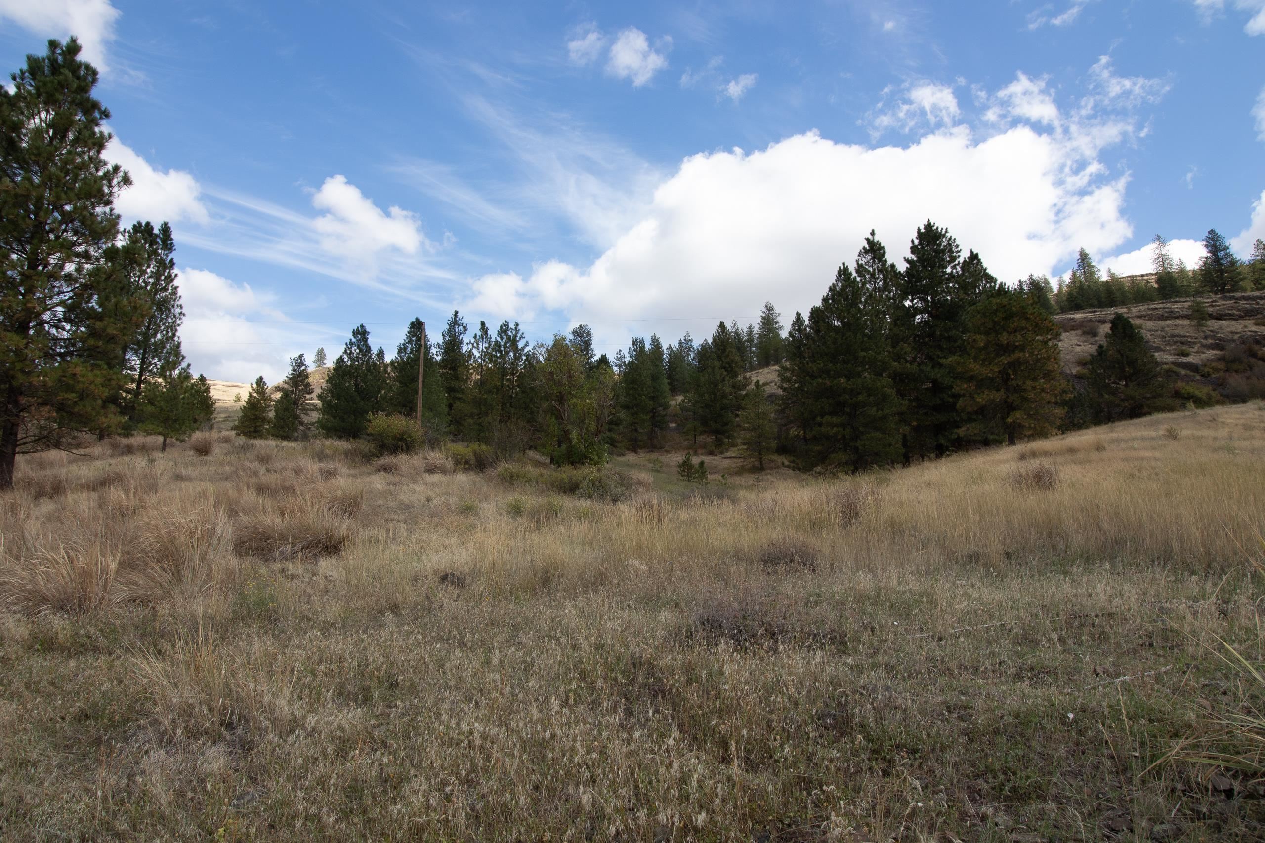 34126 N Hawk Creek Rd - Photo 38