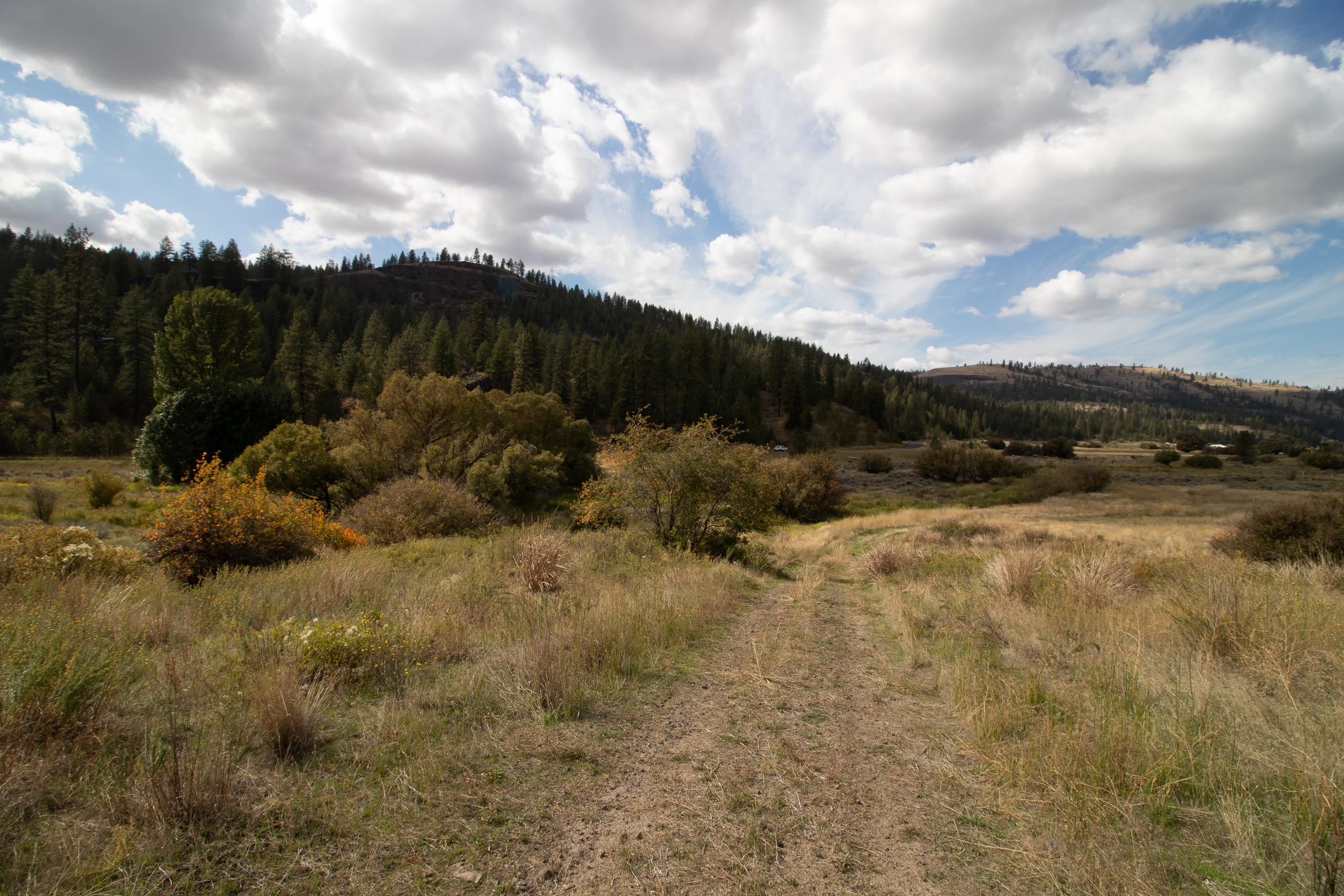 34126 N Hawk Creek Rd - Photo 42