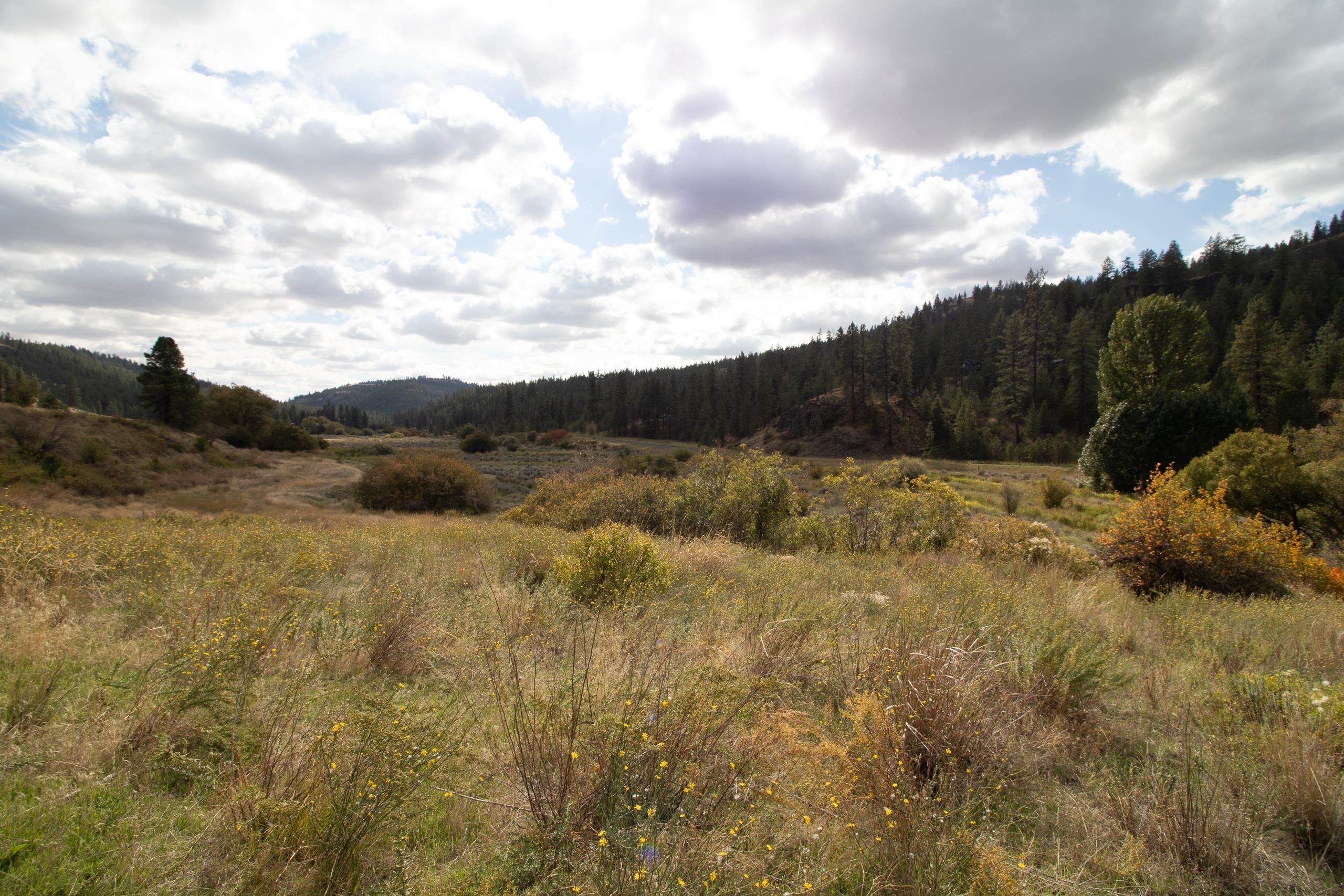 34126 N Hawk Creek Rd - Photo 43