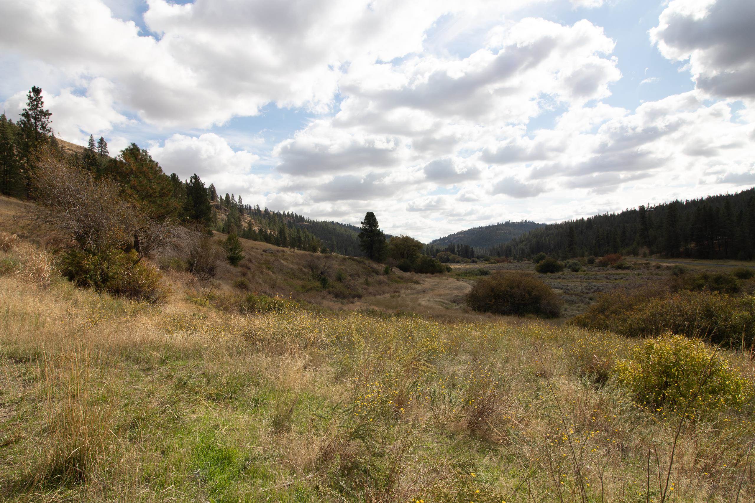 34126 N Hawk Creek Rd - Photo 44