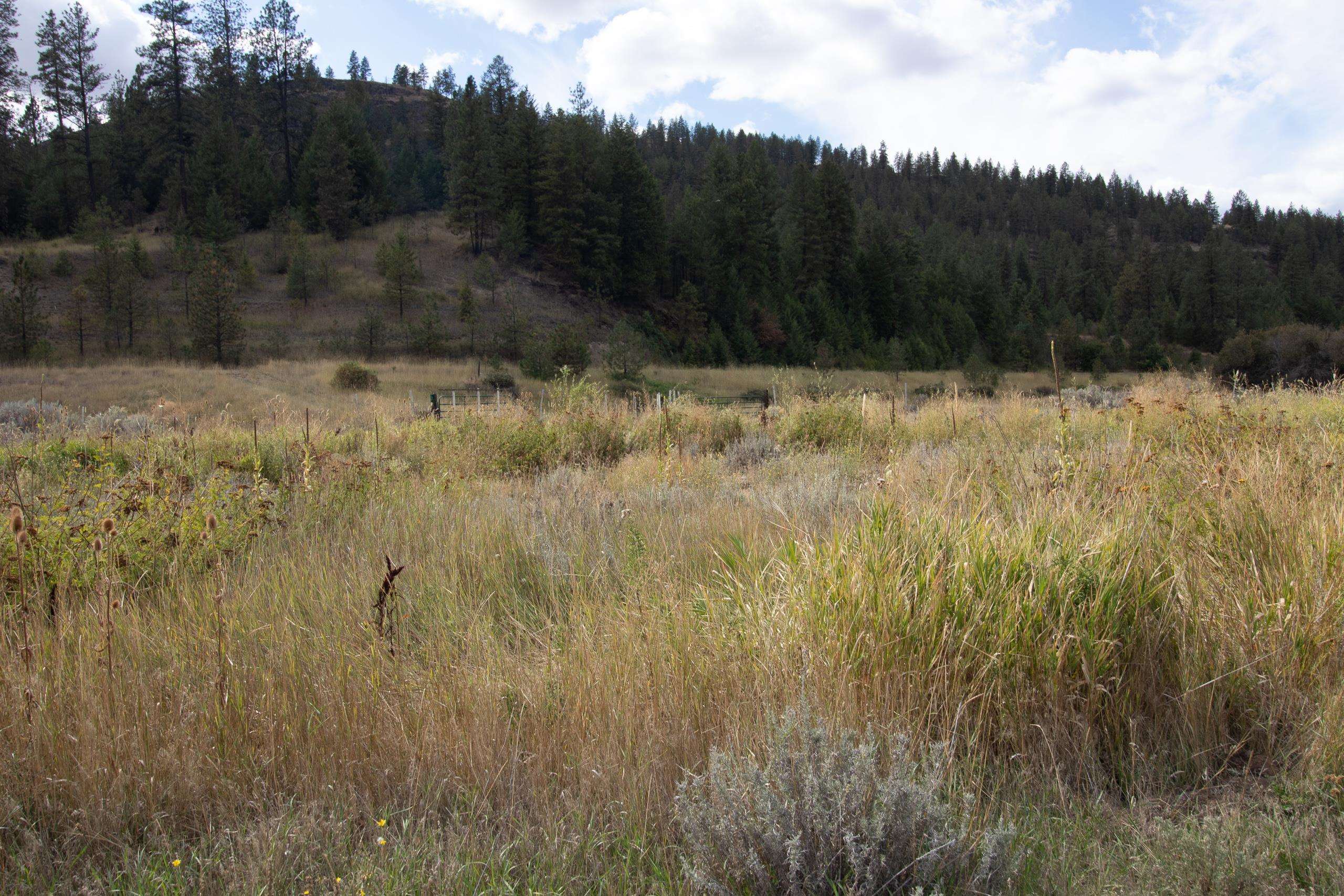34126 N Hawk Creek Rd - Photo 46
