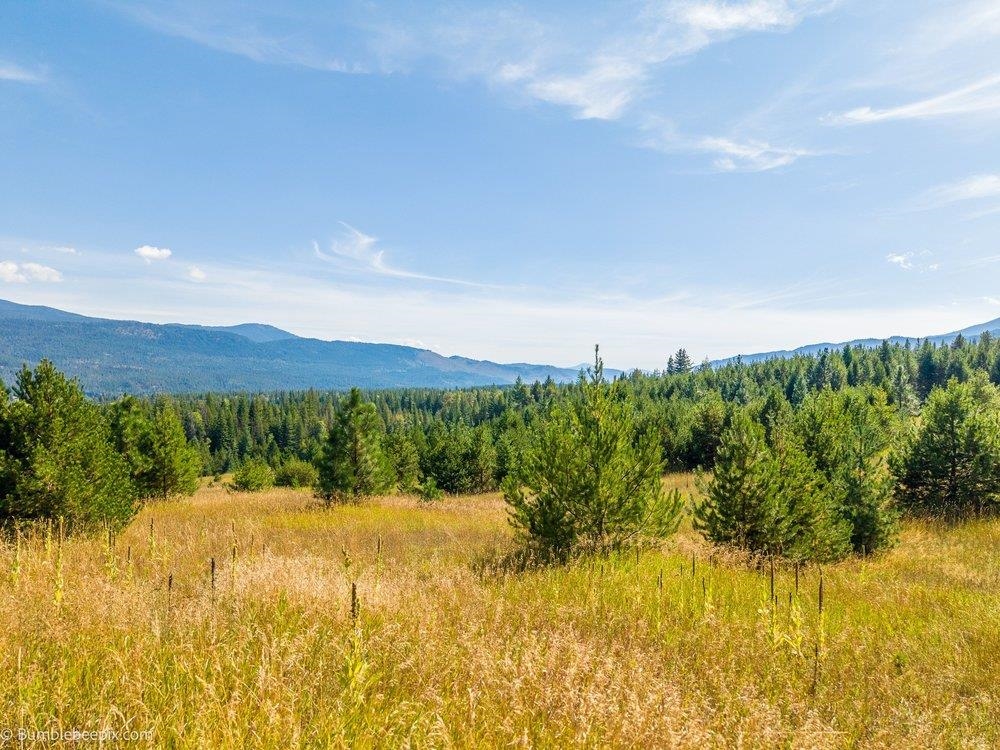 247 Schlegel Ranch Rd - Photo 8