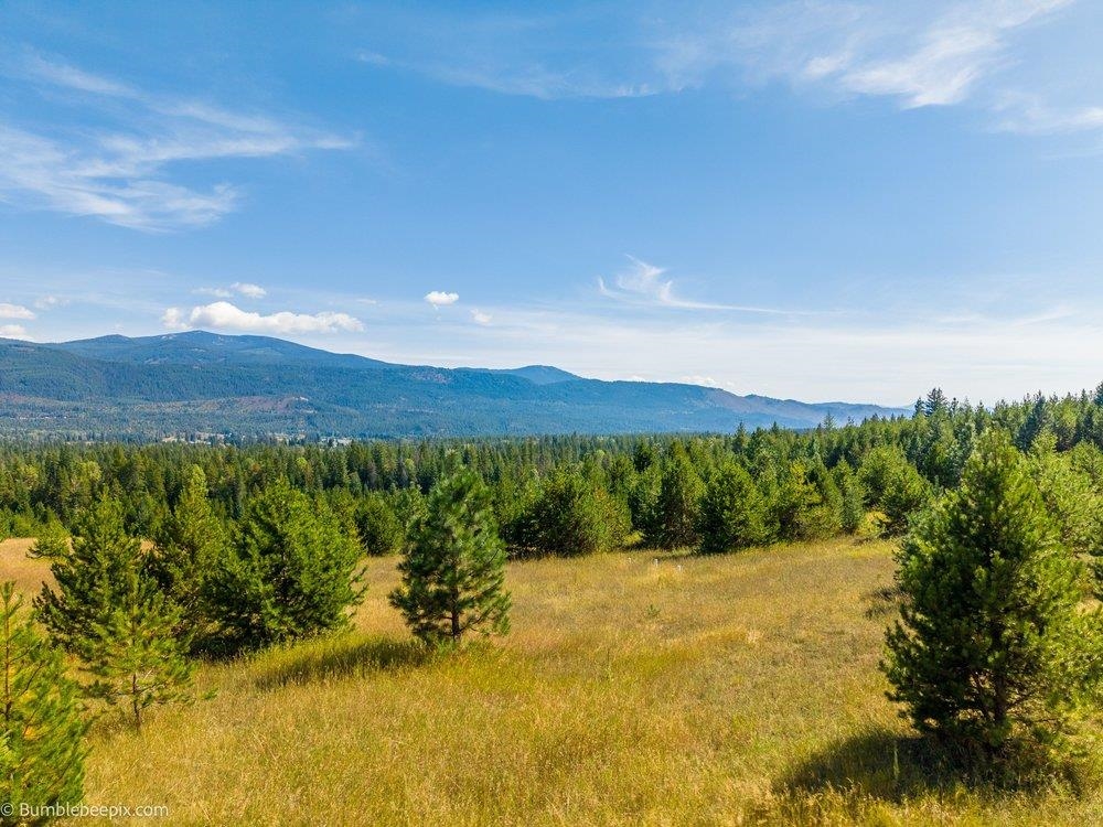 247 Schlegel Ranch Rd - Photo 9