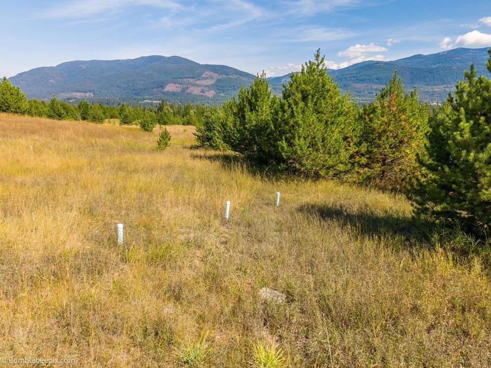 247 Schlegel Ranch Rd - Photo 10