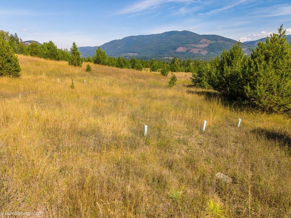 247 Schlegel Ranch Rd - Photo 11