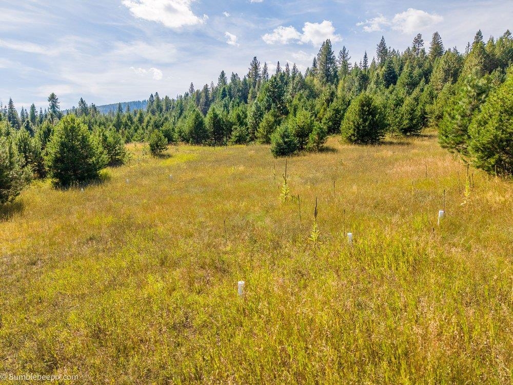247 Schlegel Ranch Rd - Photo 12