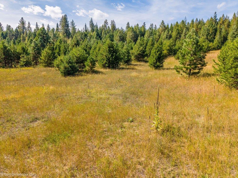 247 Schlegel Ranch Rd - Photo 13