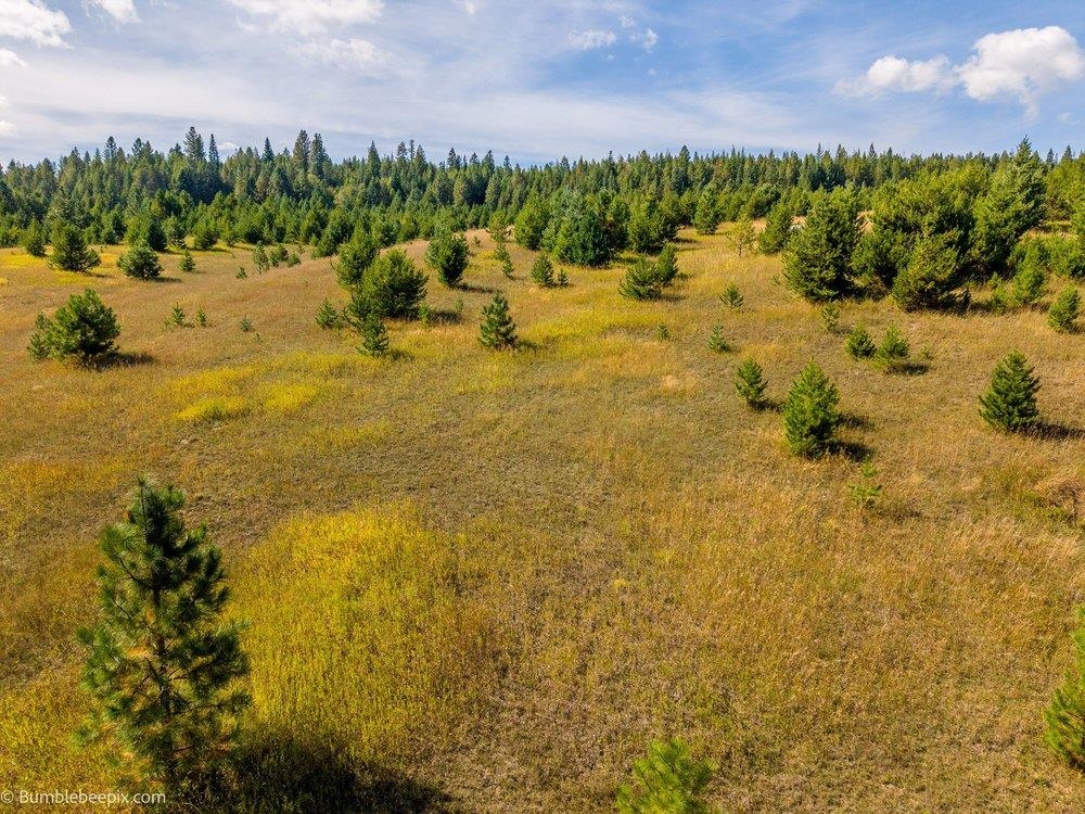 247 Schlegel Ranch Rd - Photo 14