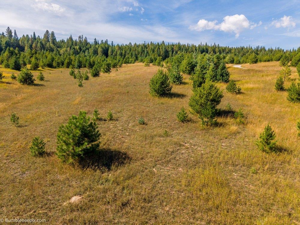 247 Schlegel Ranch Rd - Photo 15