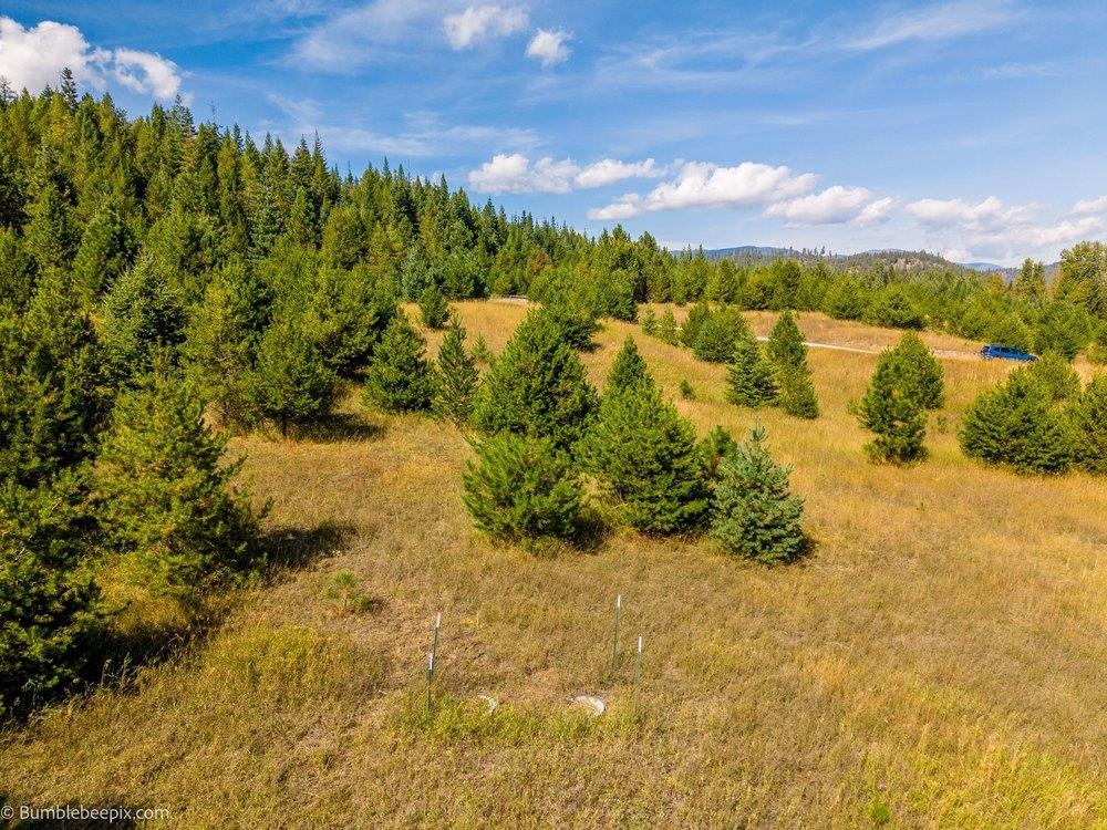 247 Schlegel Ranch Rd - Photo 18